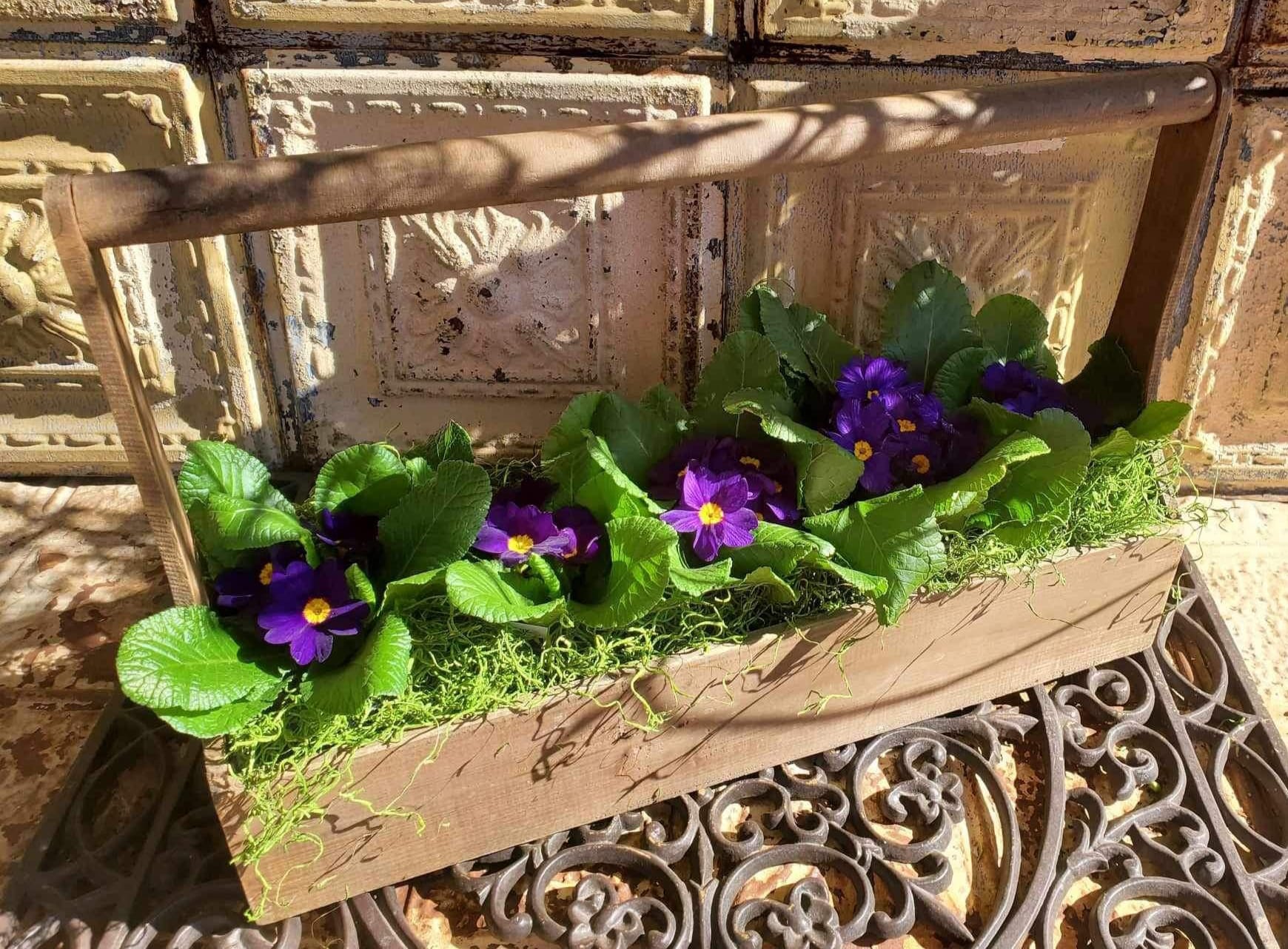 Wooden planter box with purple flowers and bright green leaves