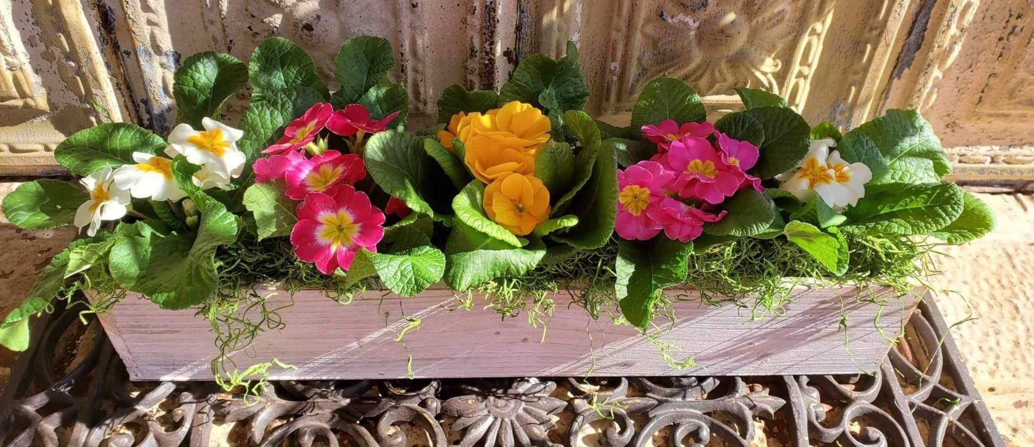 Rectangular planter with pink, white, and yellow flowers