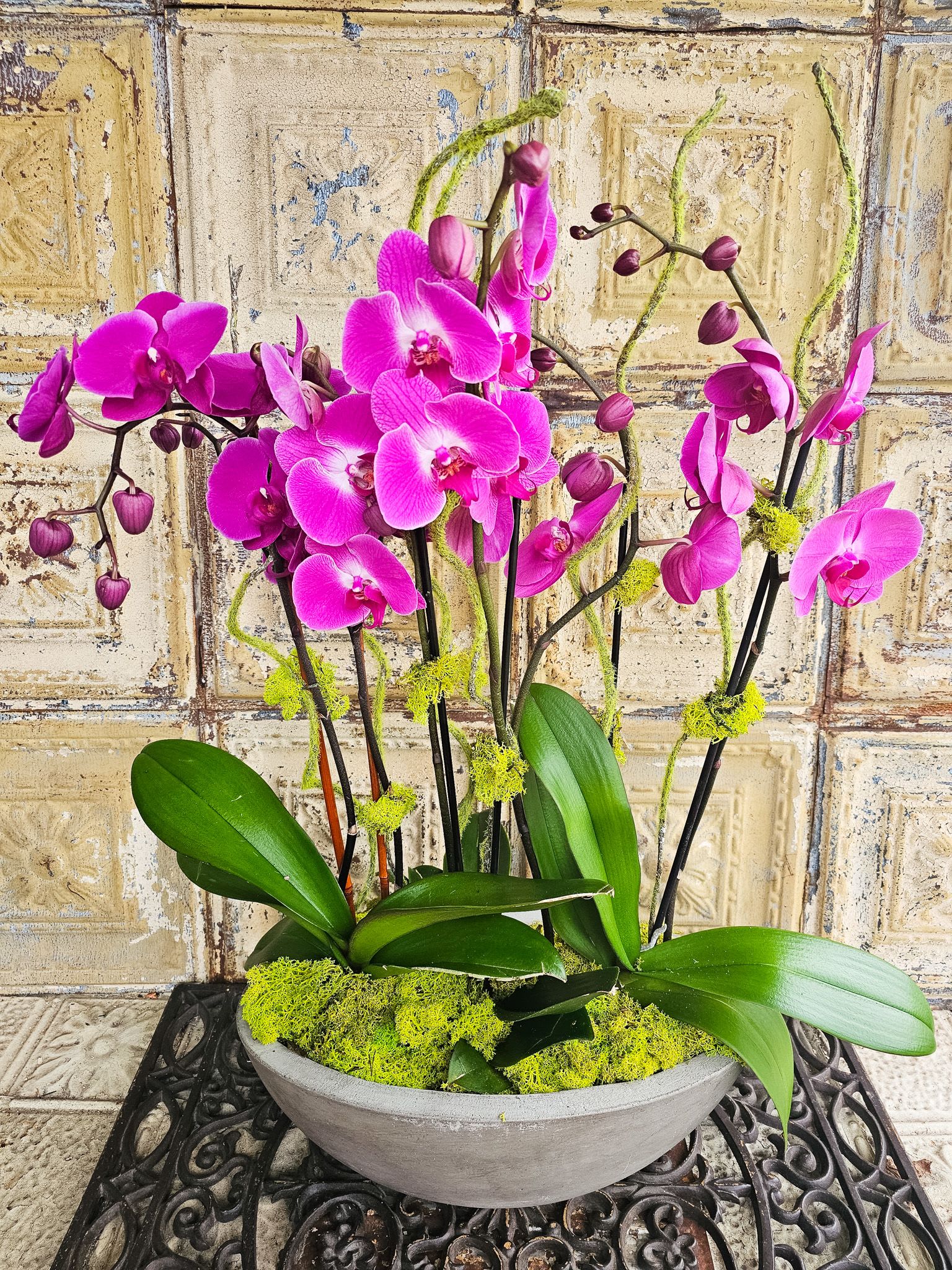 Pink orchids arranged in a shallow gray bowl with moss