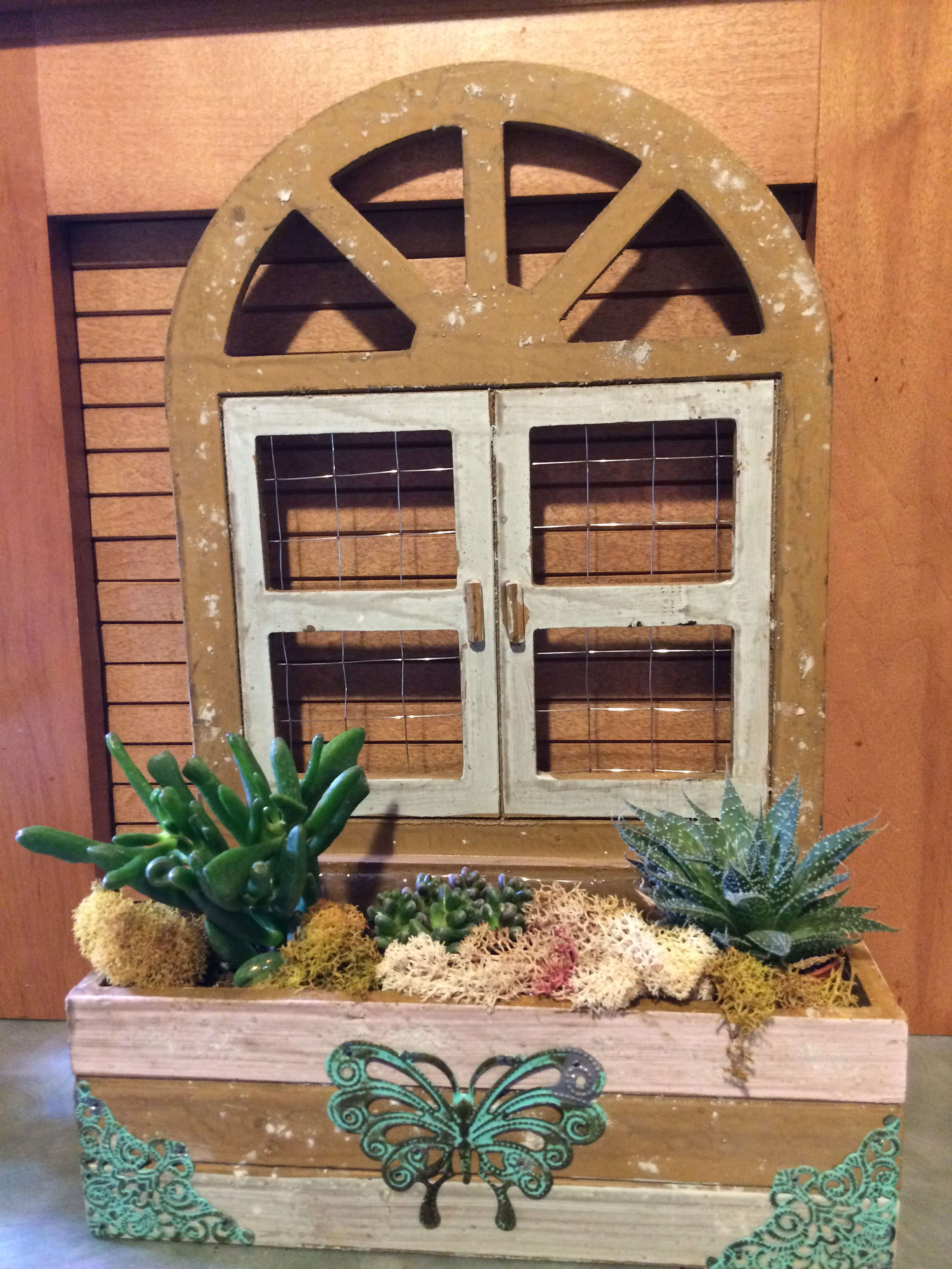 Succulent arrangement in a decorative wooden planter with a window frame backdrop