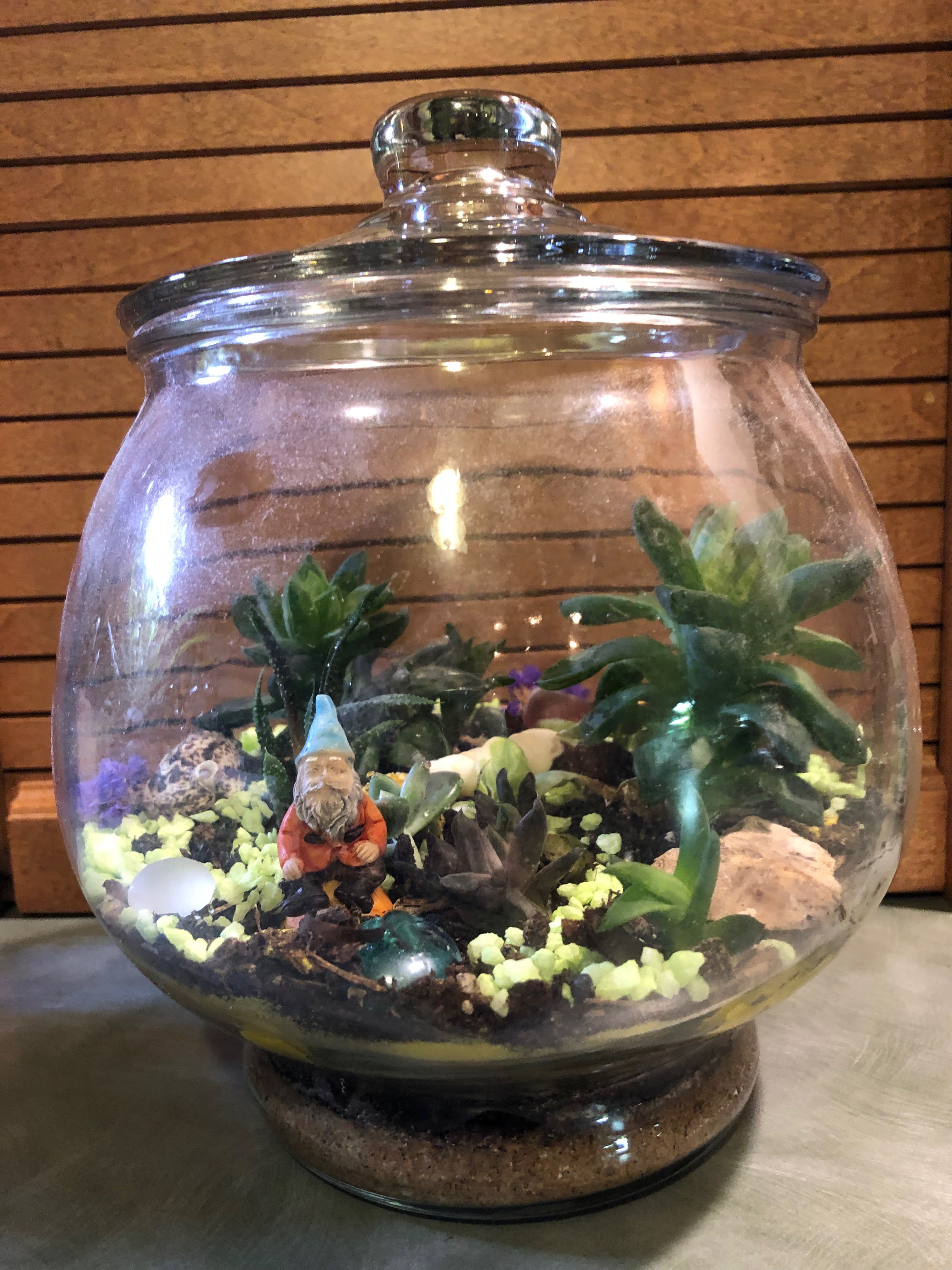 Succulent terrarium in a round glass jar with a small gnome figurine