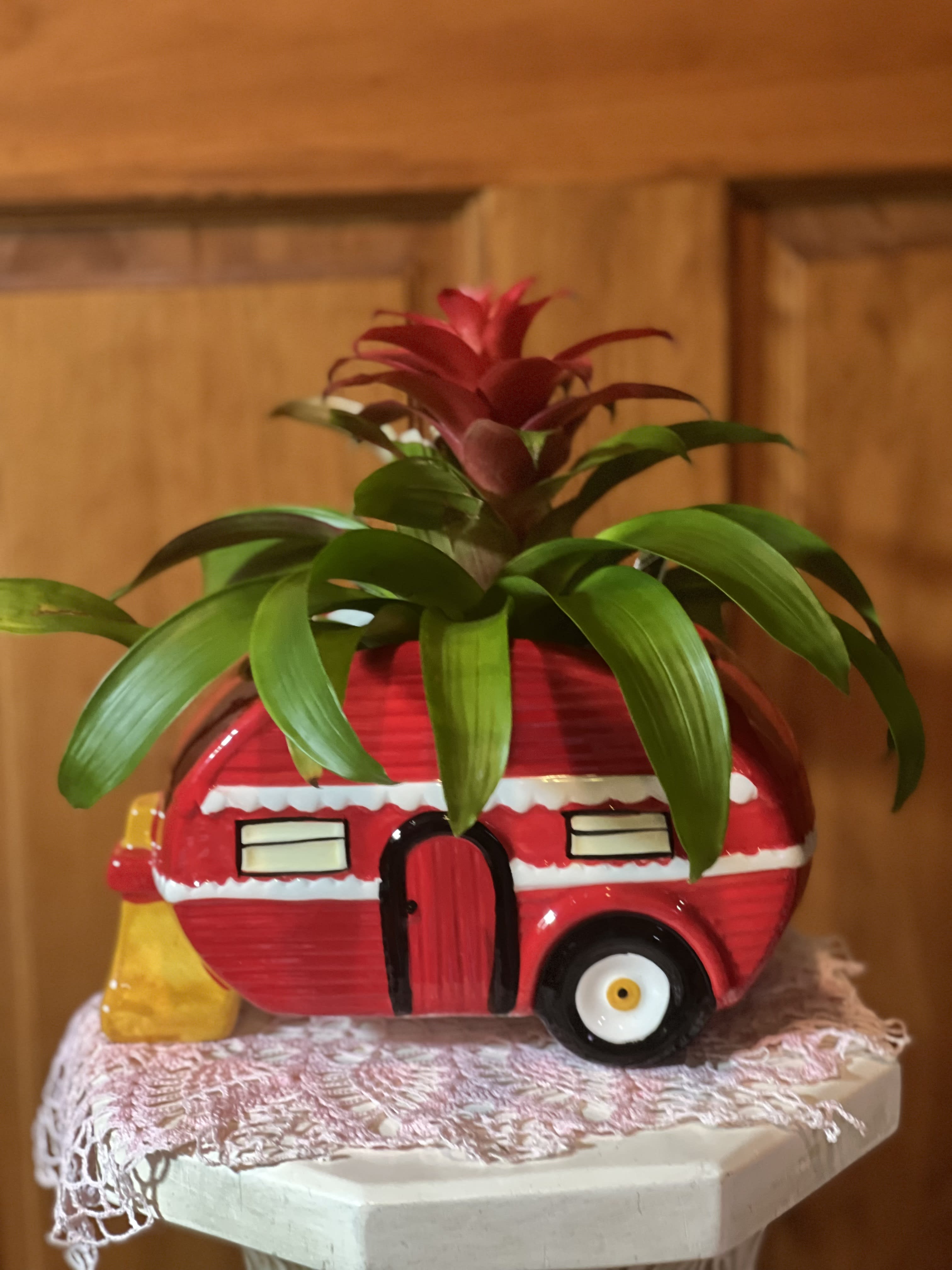 Potted red and green bromeliad in a decorative camper-shaped planter