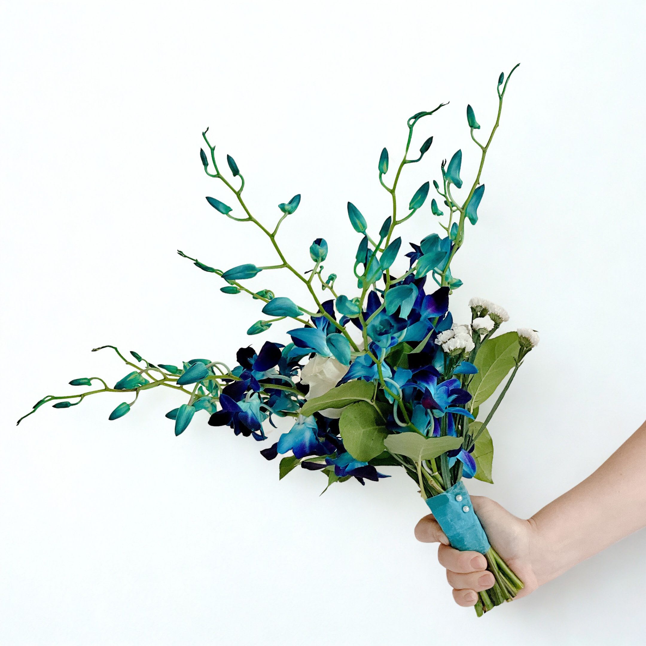Handheld bouquet of blue orchids and white filler flowers