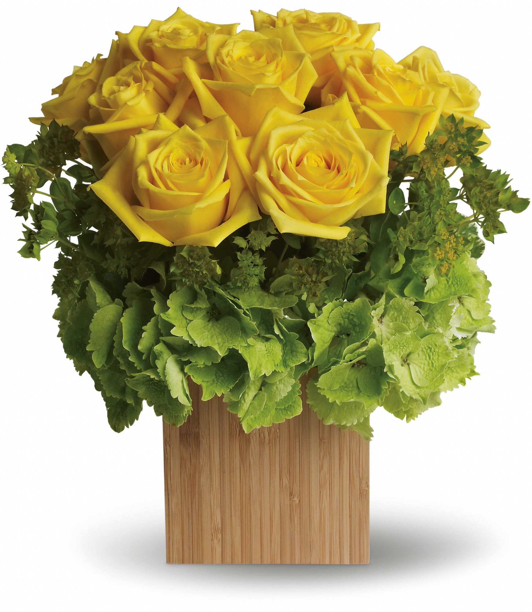 Yellow roses arranged in a wooden cube vase with green hydrangea