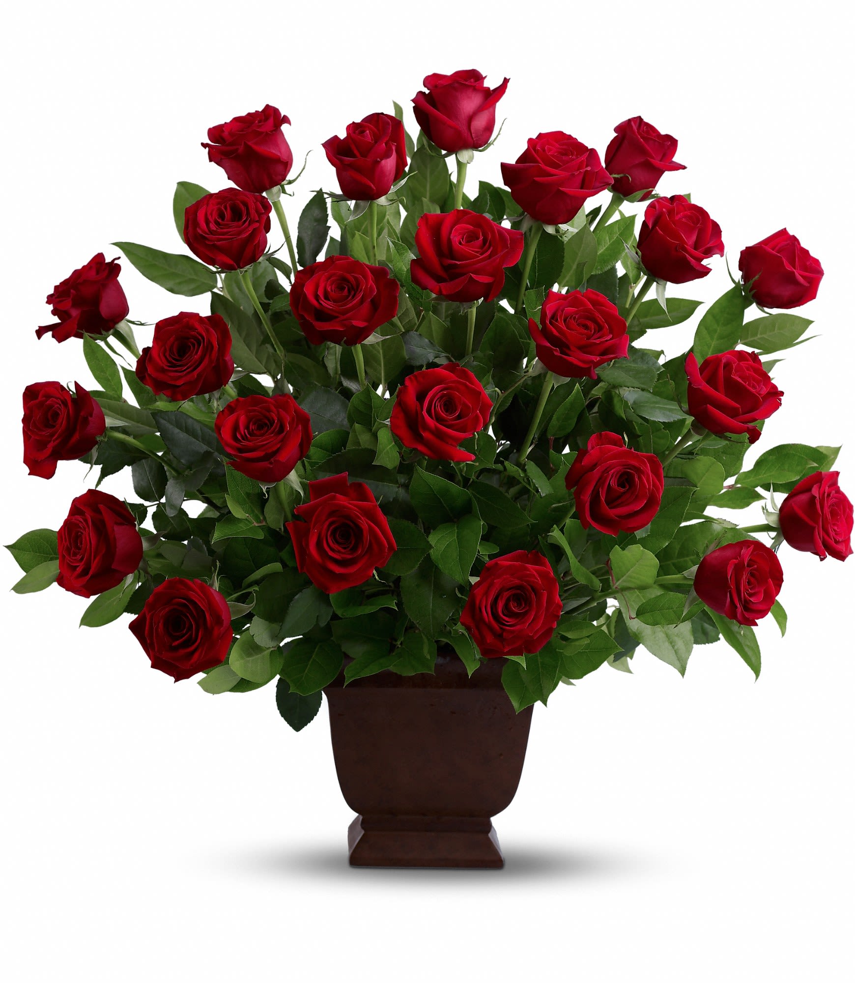 Red roses arranged in a brown pedestal vase