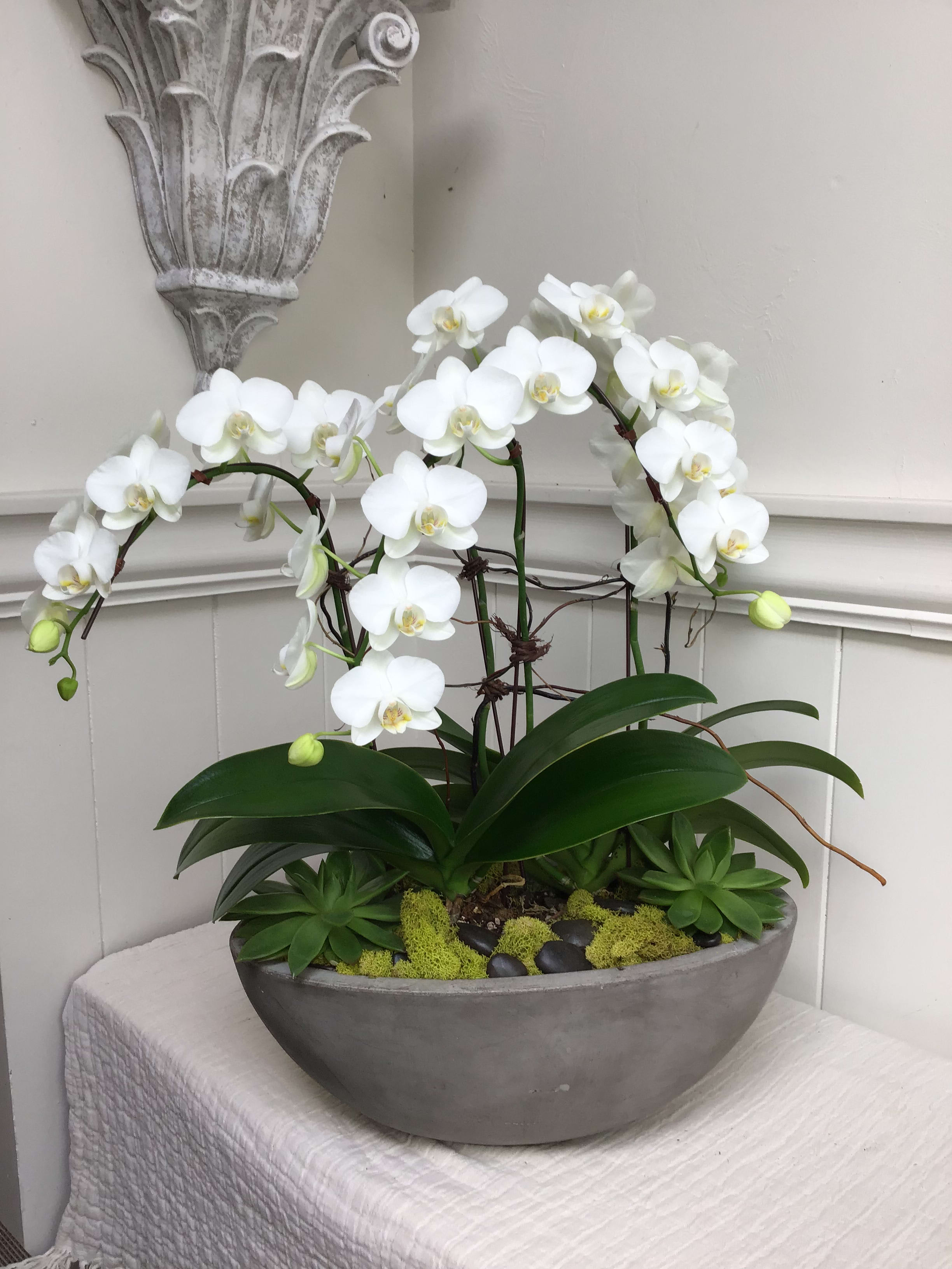 White orchids arranged in a shallow gray bowl with succulents