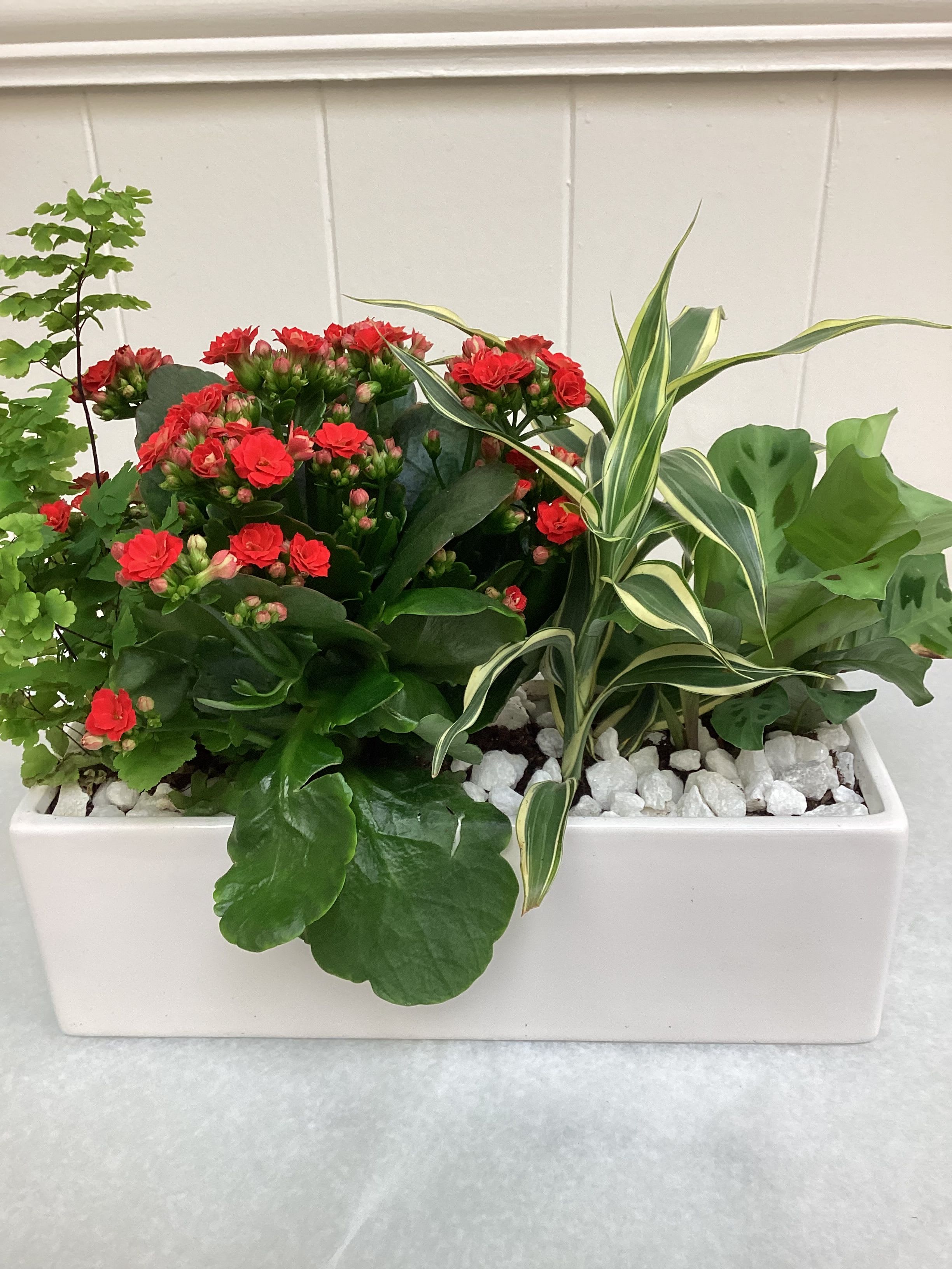 Red kalanchoe and mixed foliage in a white rectangular planter