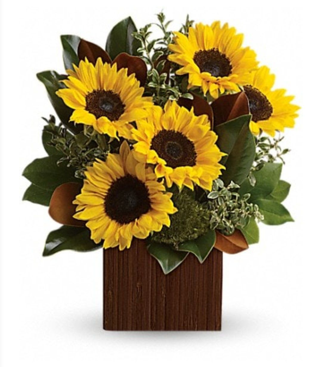 Sunflower arrangement in a wooden box with dark green foliage
