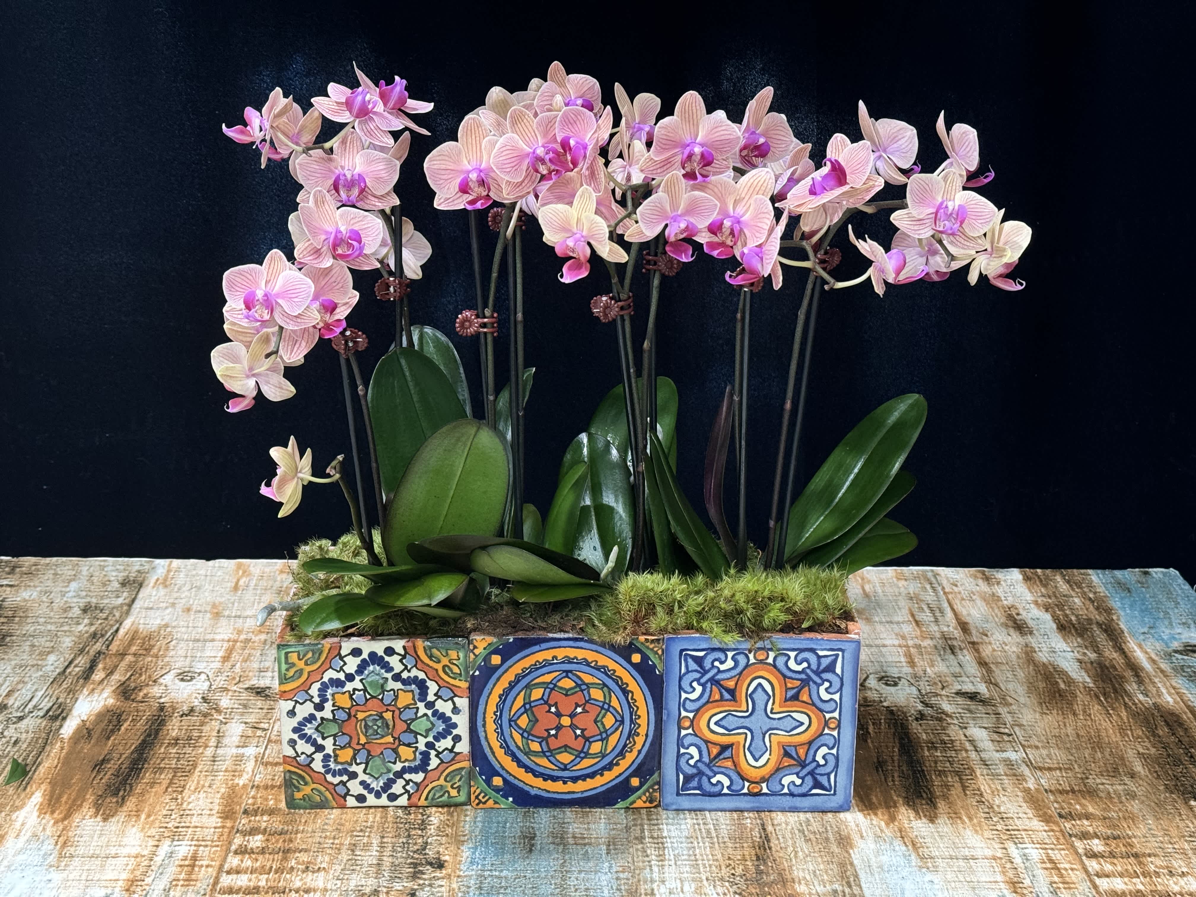 Pink orchids arranged in a decorative tiled planter