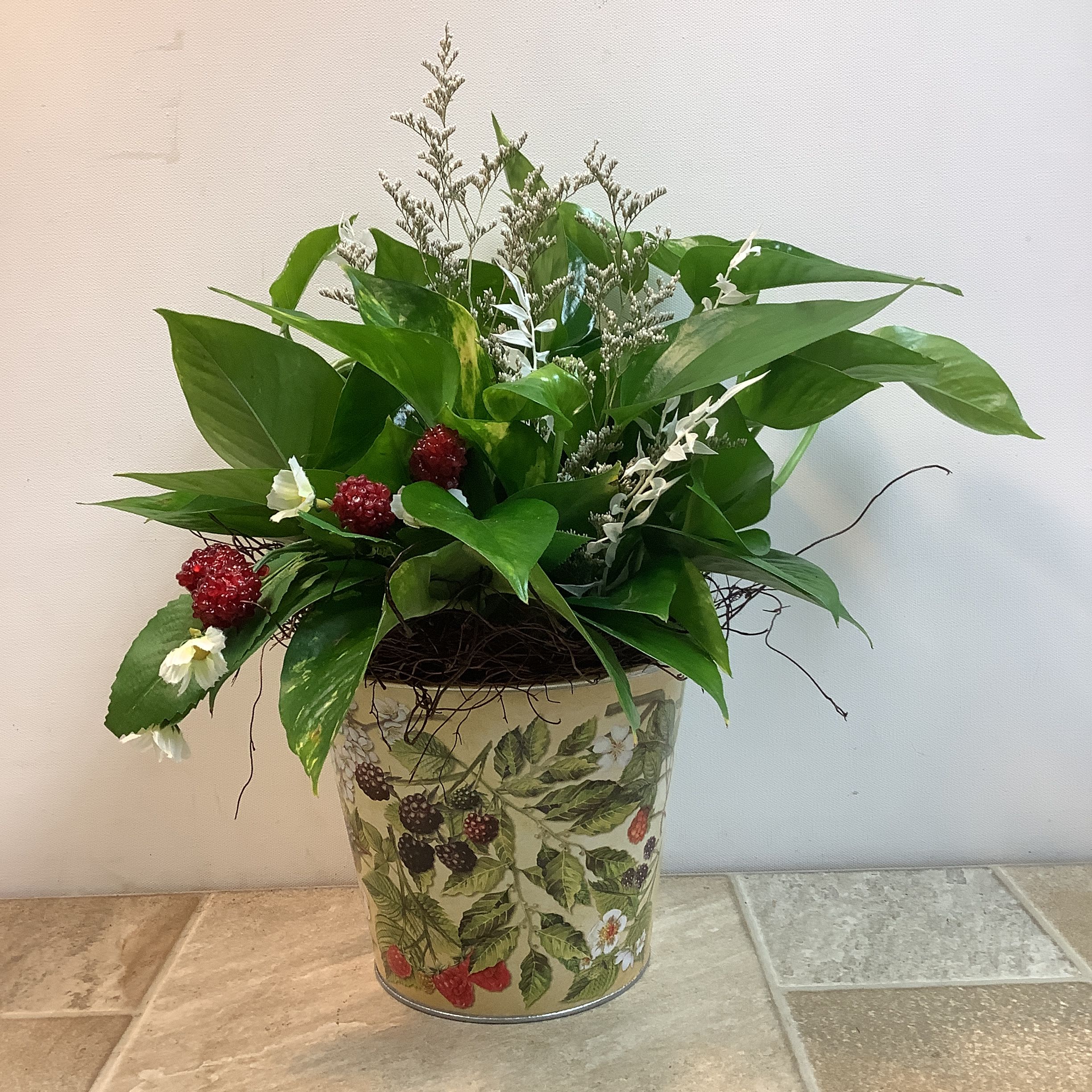 Berry Botanical - A lush Pothos plant is accented with delicate, airy white sprigs and whimsical, decorative artifical raspberries that provide a striking pop of color. The entire arrangement is housed in a charming, vintage-inspired tin pot adorned with a detailed botanical pattern of blackberries and blossoms, which perfectly complements the organic elements tucked inside. Approximate size: 14" w x 17" h