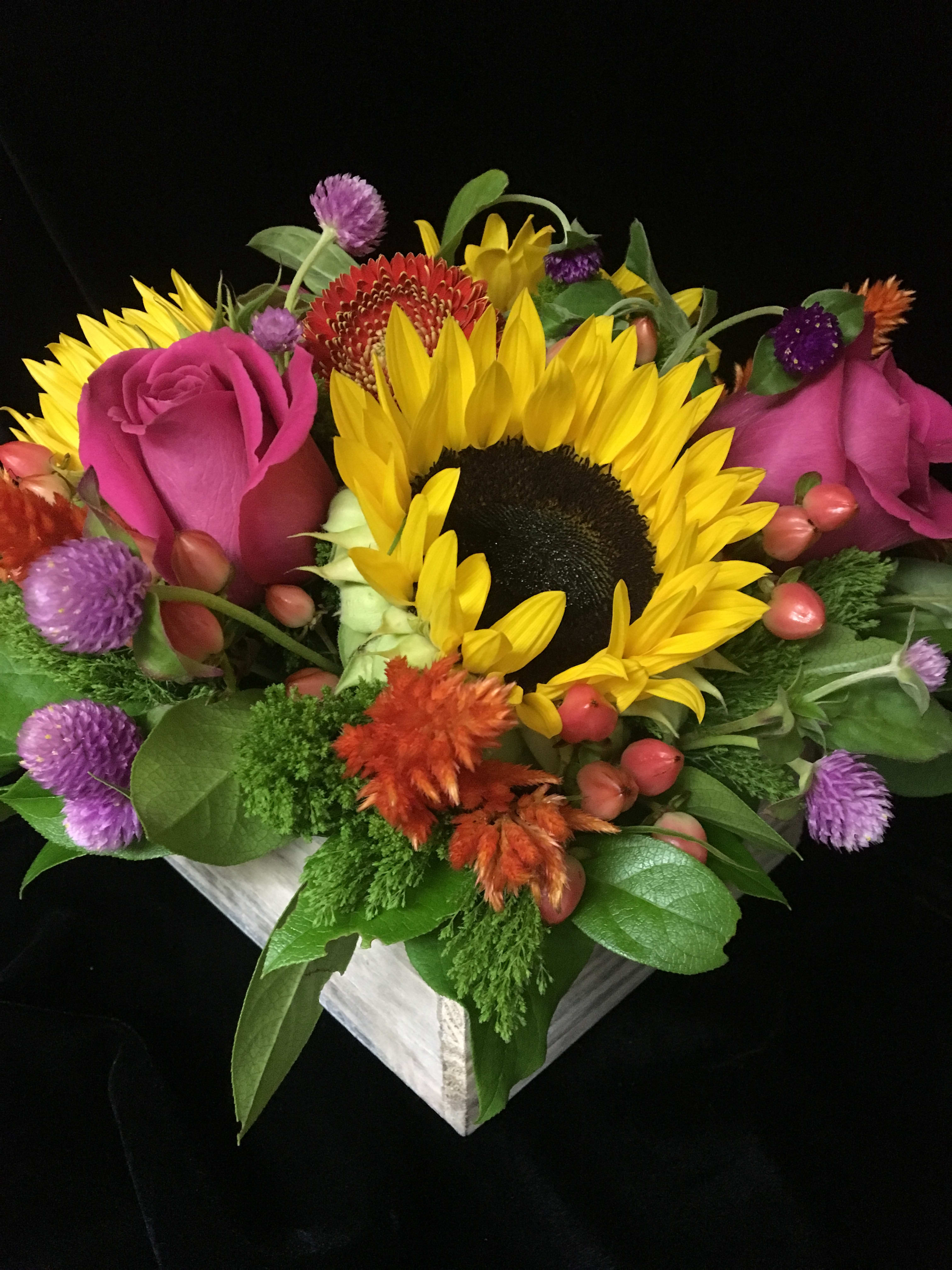 Low arrangement of sunflowers, pink roses, and bright mixed blooms in a white wooden box.