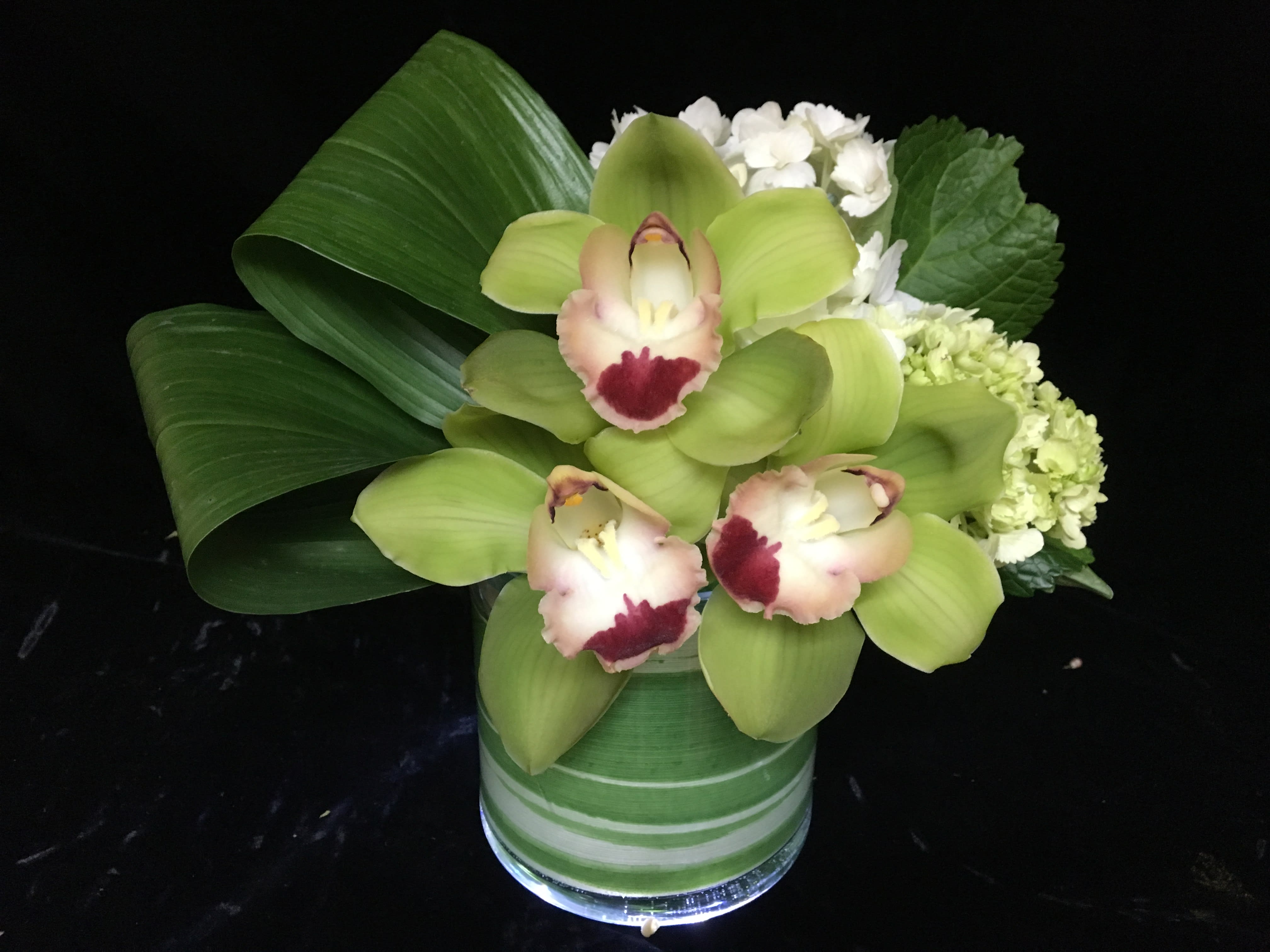 Low arrangement of green cymbidium orchids and white hydrangeas in a glass vase with looped green leaves