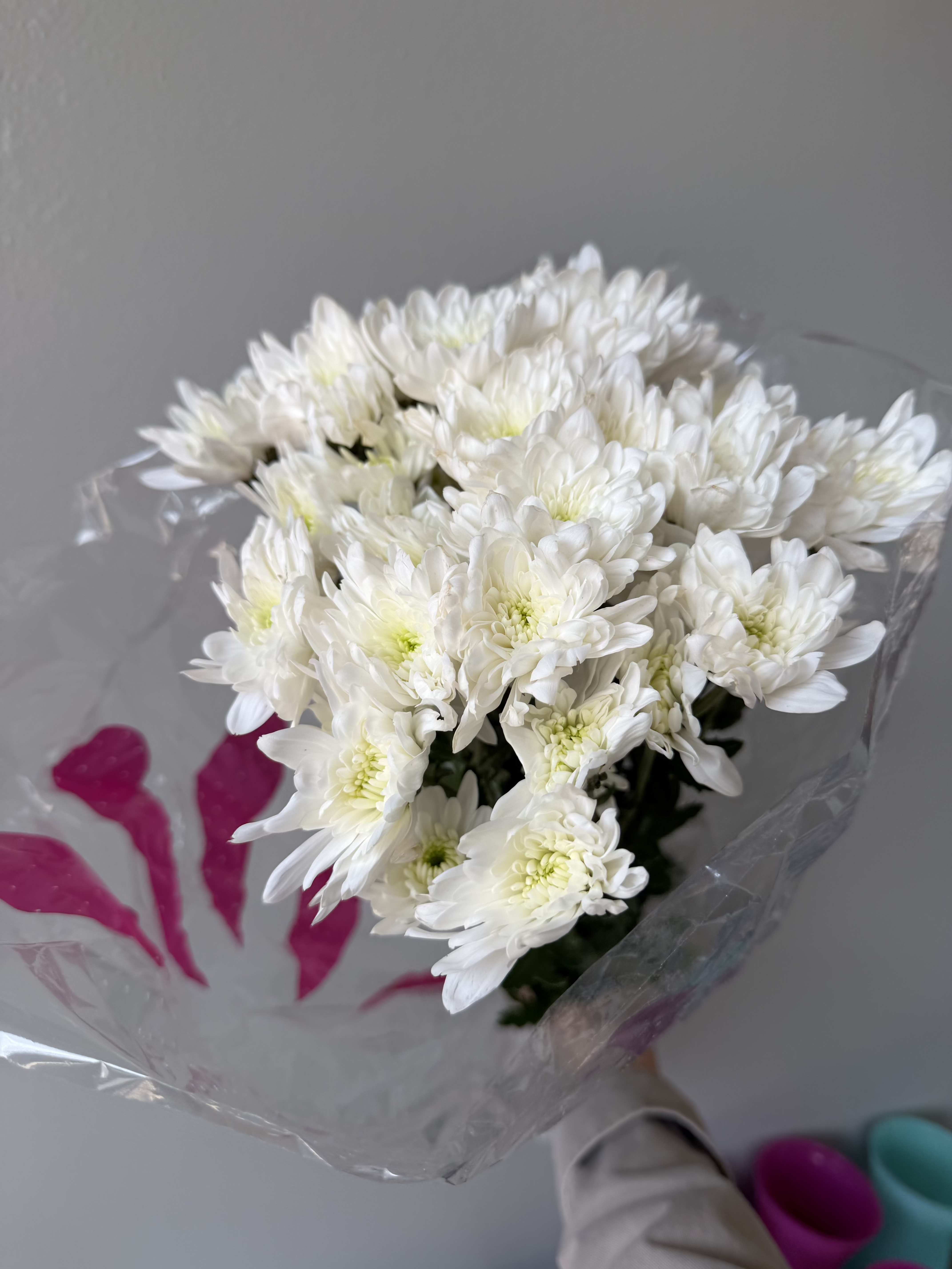 White daisies - Averages 7 stem per pack