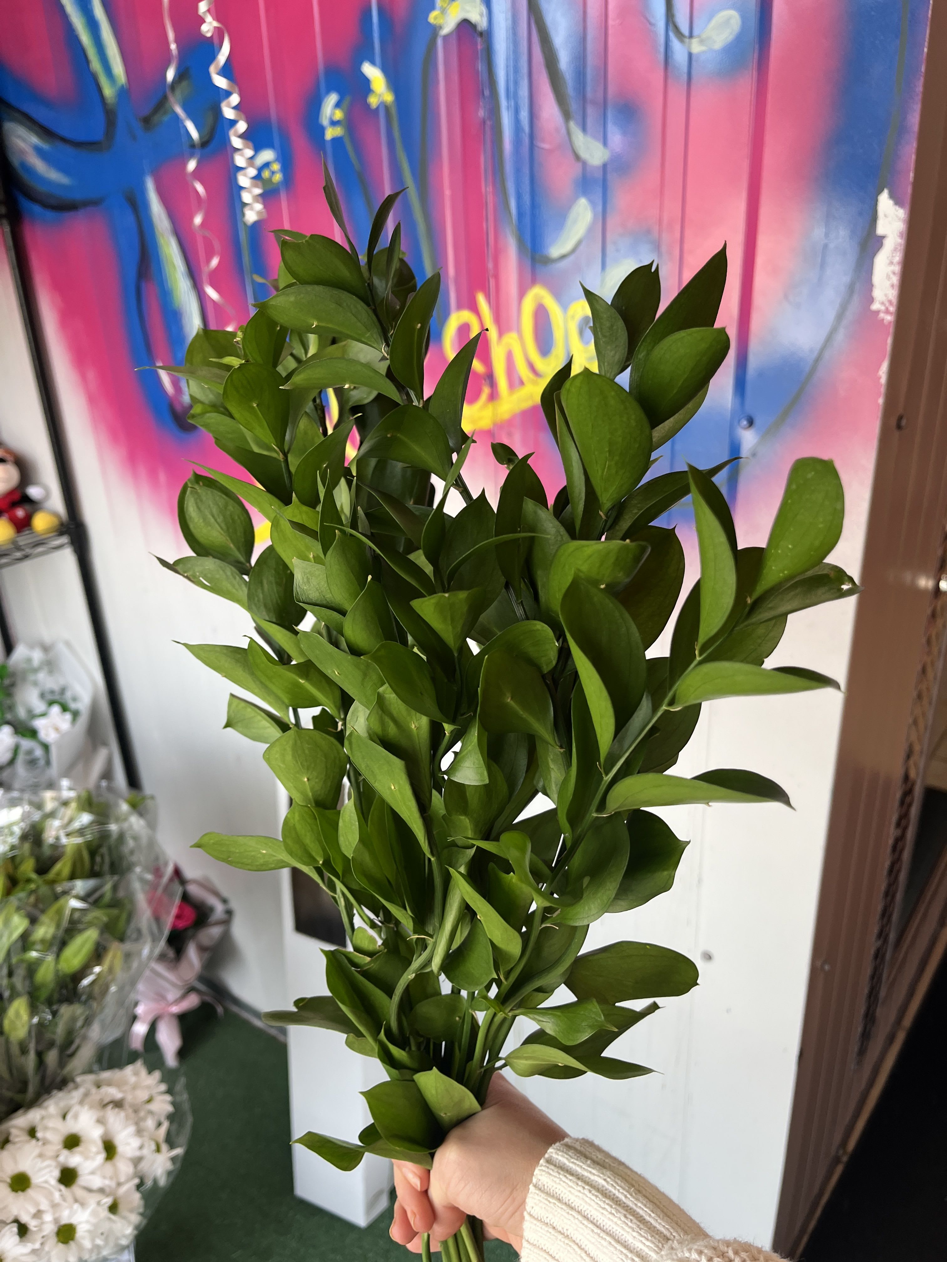 ruscus - 10 stem israeli ruscus