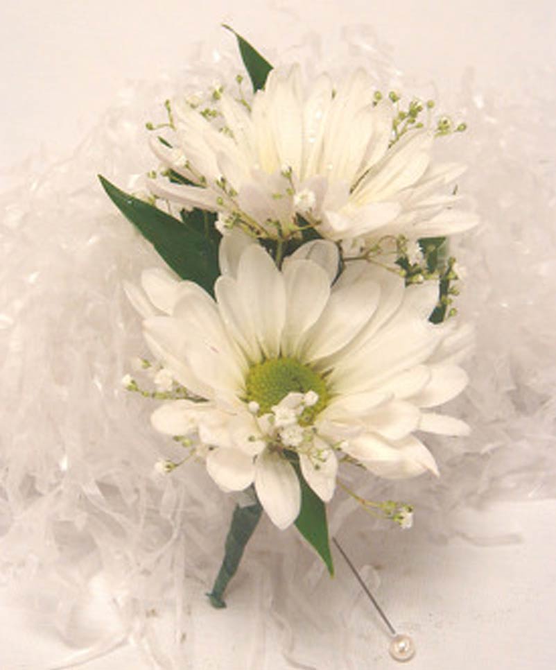 White daisy boutonniere with small white filler flowers and pearl pin on a soft white background