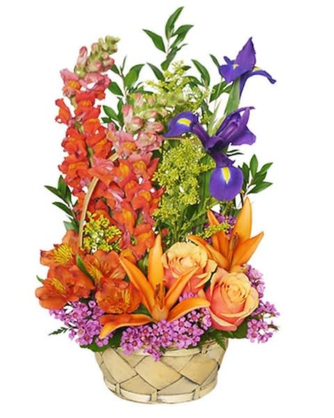 Colorful mixed flower arrangement in a woven basket
