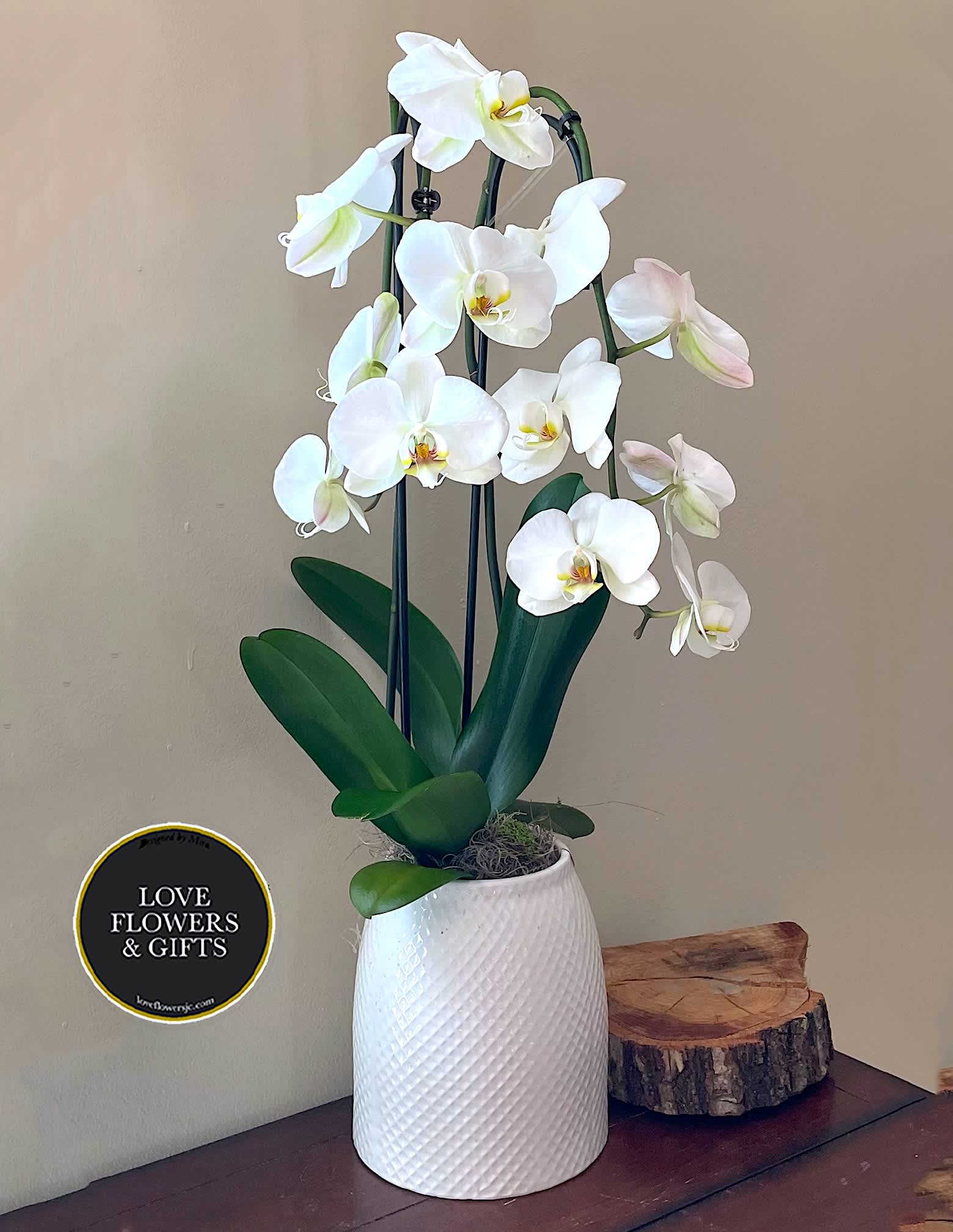 Tall white phalaenopsis orchid plant in a textured white pot on a wooden table