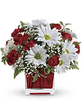 Delight By SWF -   Simply sweet bouquet is delicately arranged in our ruby red glass cube.                       Miniature red carnations and white daisy chrysanthemums, with fresh greenery.  size start at 10 1/4" H 10 1/2" W  