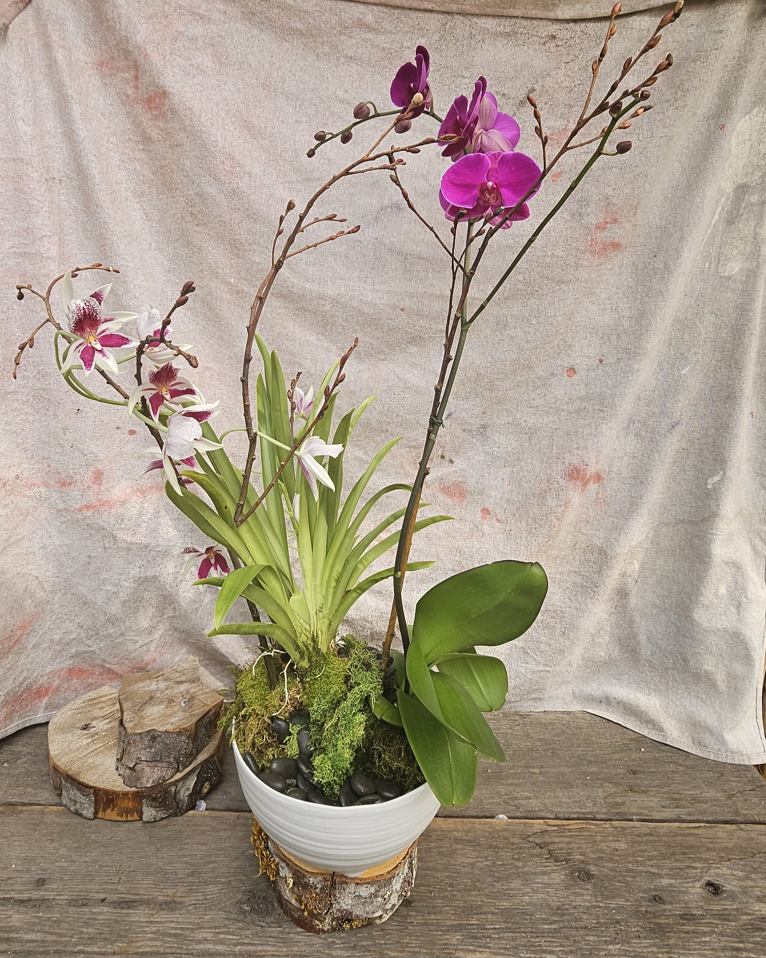 Potted purple and white orchids in a white bowl set on a rustic wood base.