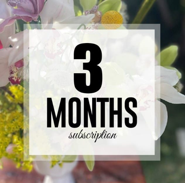 Text overlay reading 3 months subscription over a blurred floral background