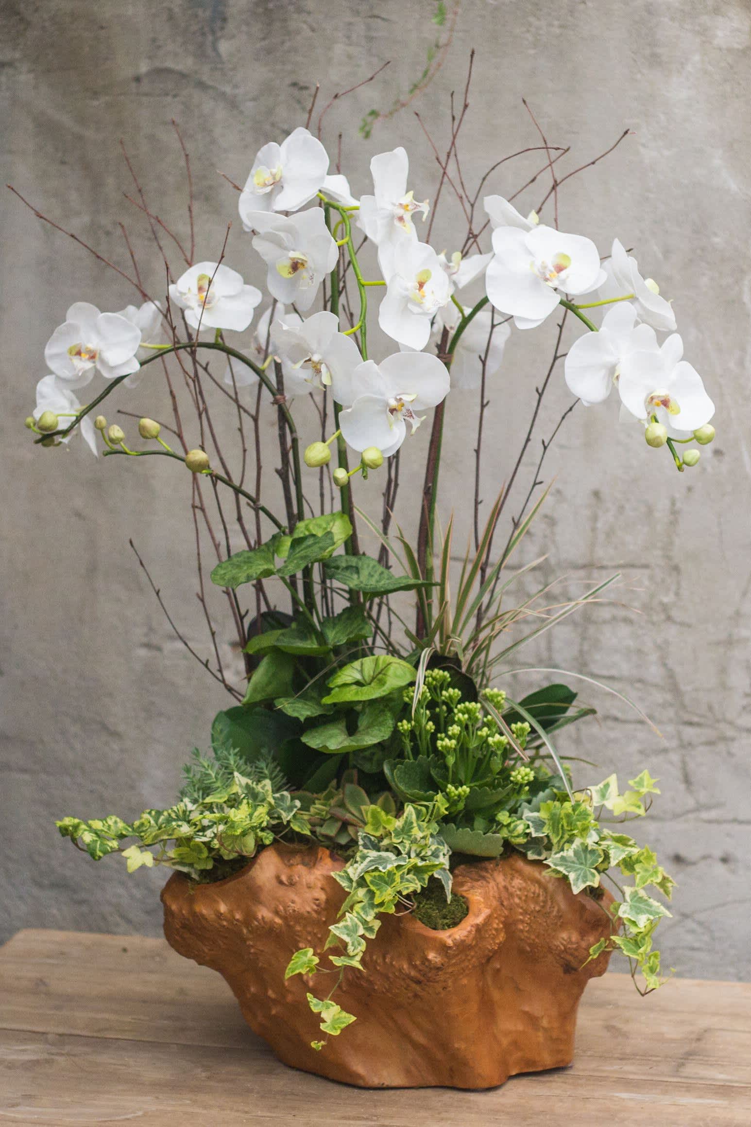 White orchid arrangement in a brown ceramic planter