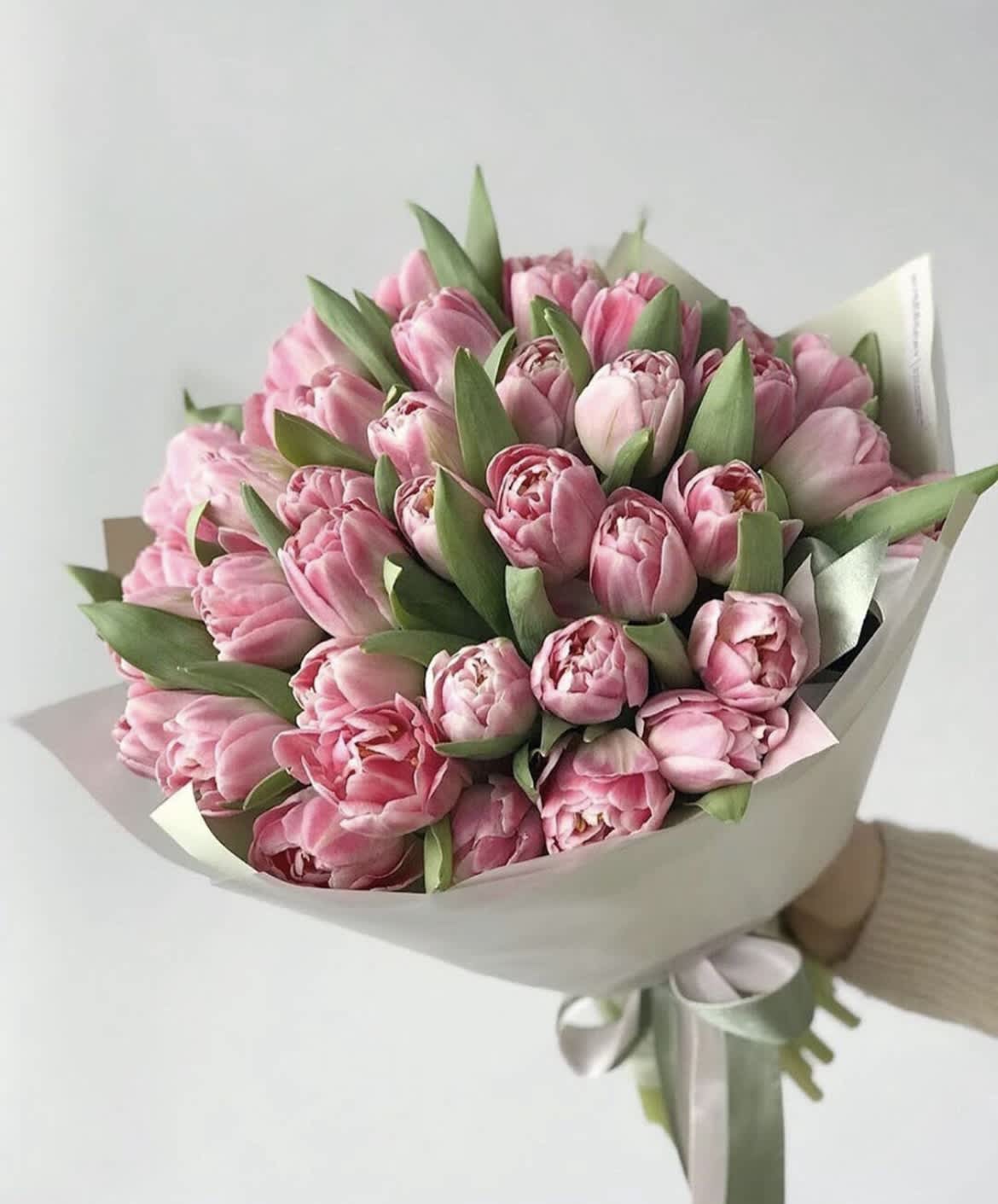 Bouquet of pink tulips wrapped in pale paper