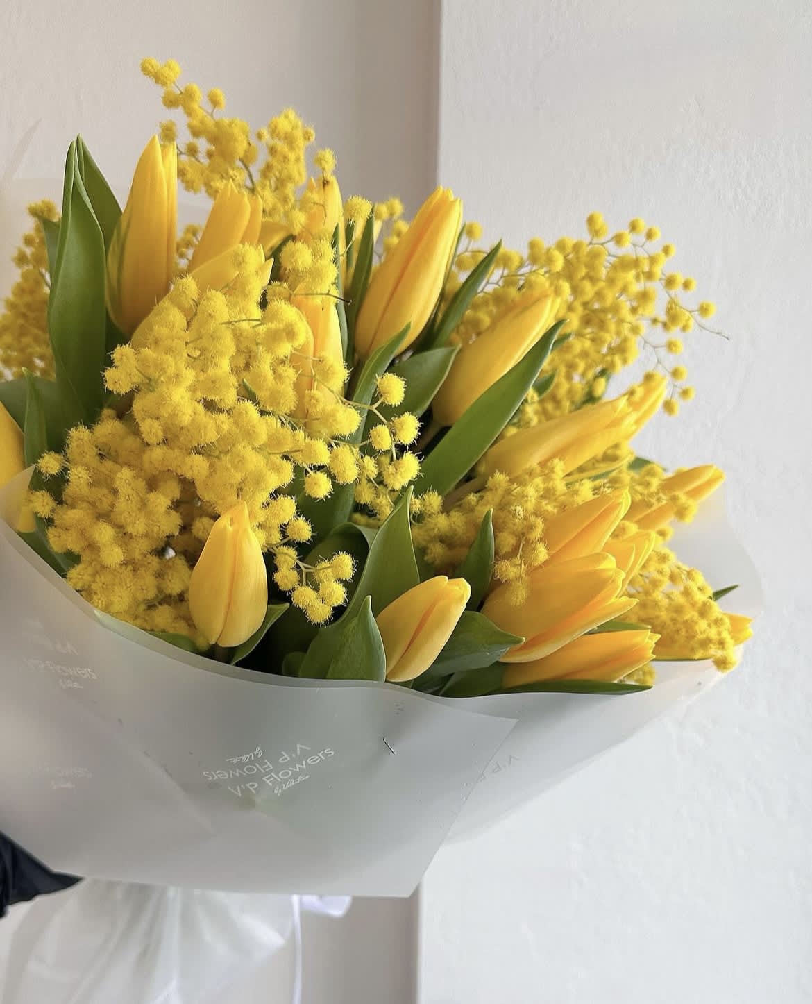 Bouquet of yellow tulips and fluffy yellow blossoms wrapped in white paper
