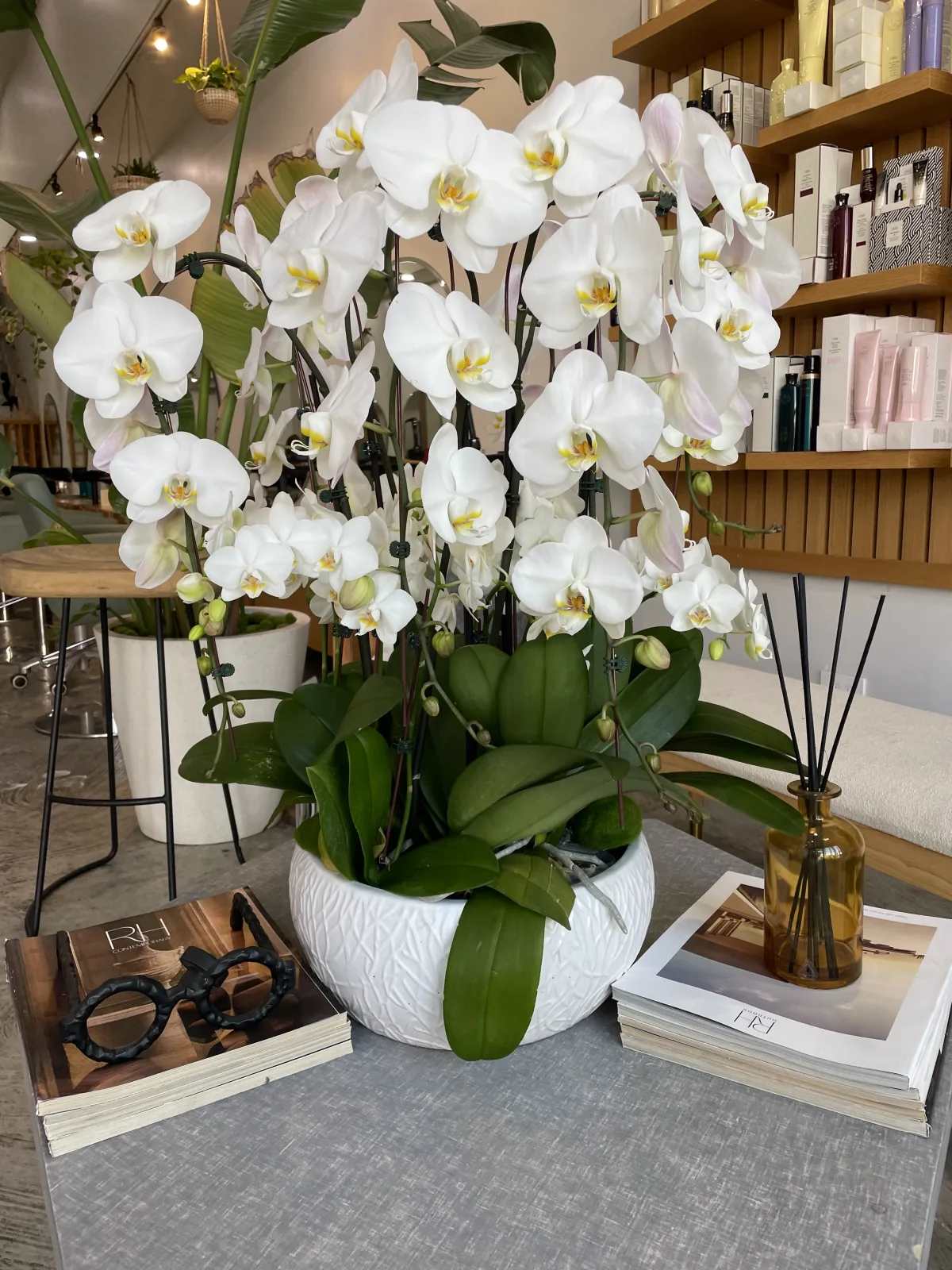 White orchids arranged in a white bowl on a table.