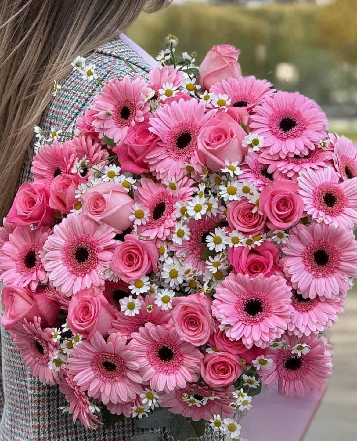 Pink gerbera daisies and roses in a hand-held bouquet