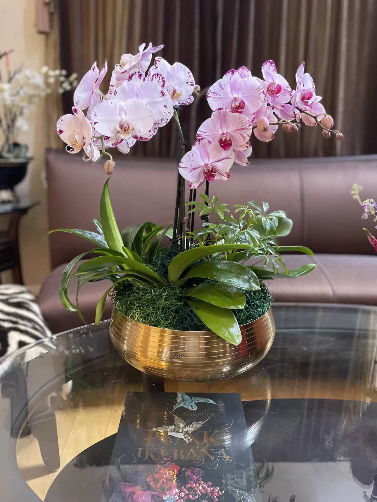 Pink-and-white orchids arranged in a gold bowl planter