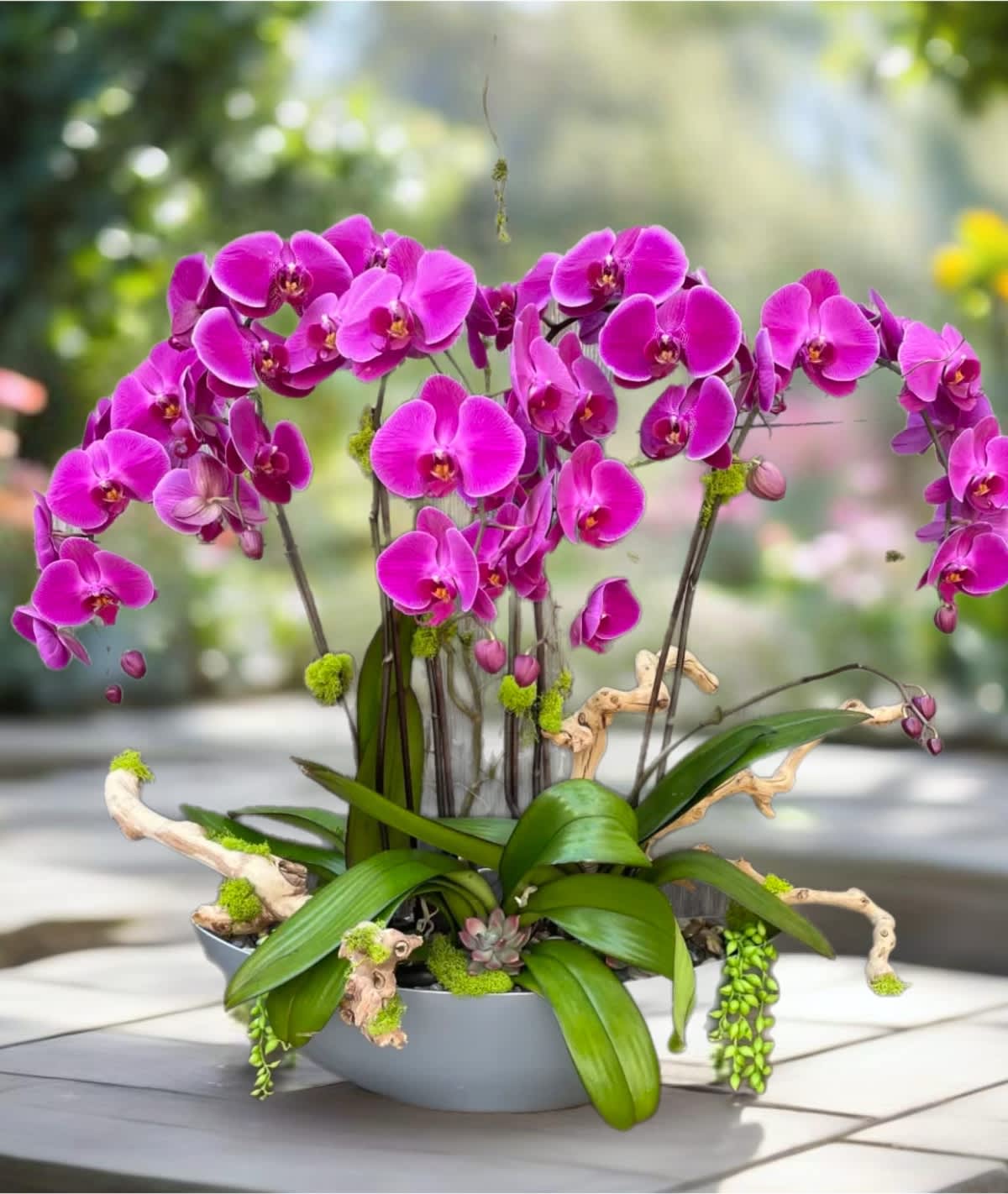 Magenta orchid arrangement in a gray bowl planter