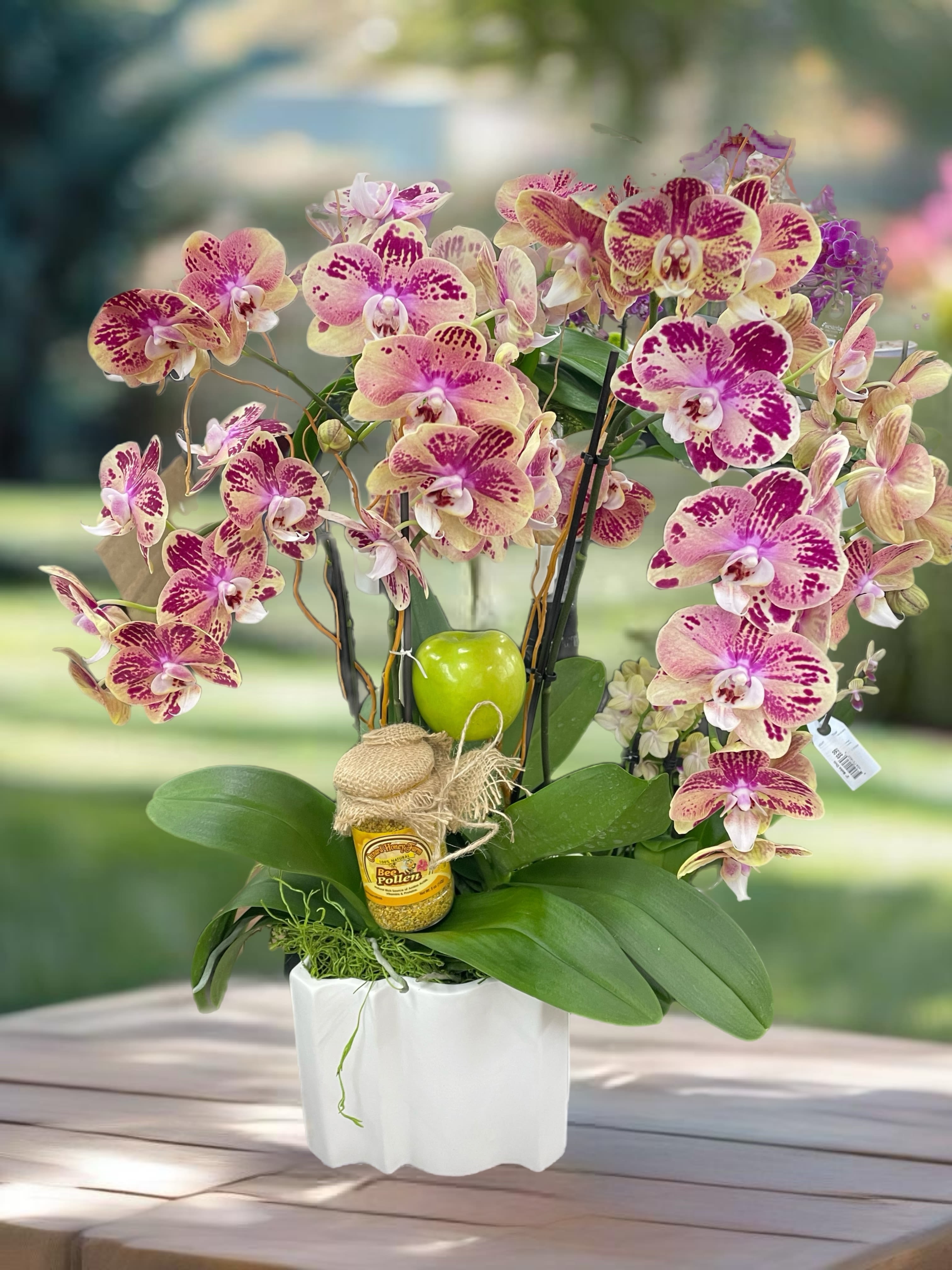 Pink and cream orchids arranged in a white pot with a small honey jar
