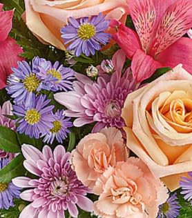 Close-up bouquet of peach roses, pink carnations, and purple daisy-like flowers