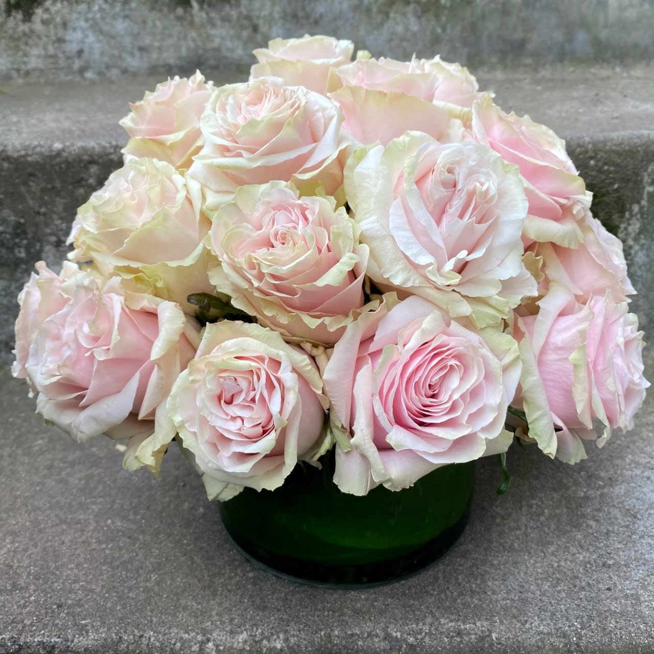Two Dozen Classic Roses - Designer's Choice Color - Classic, simple, perfect. Two dozen premium roses arranged without filler or fuss in a clear glass vase with a leaf-wrapped interior.   Order the Premium version for three dozen roses.   If you have color preferences, please specify your first and second choices in the "Florist Instructions" section upon checkout. Please allow two business days for some special requests to be delivered or call us to see what colors of roses we currently have in stock. Or you can choose not to specify and leave it to us! We will create an arrangement using the best roses that we have available on the day of delivery. For red roses, please order 'Classic Red Roses.'  Arrangement Details:  Standard: Two dozen roses  Premium: Three dozen roses in a larger vase Approximate dimensions:  As shown: 10 inches high by 10 inches wide Premium: 10 inches high by 11 inches wide