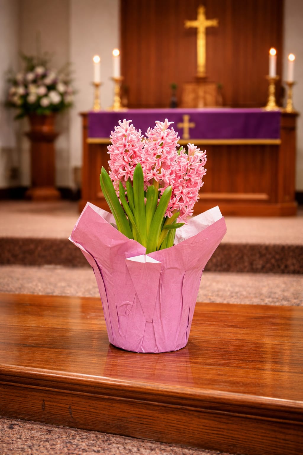 6” Church Hyacinth Plants - Ministry:  Add soft color and fragrance to your church space with blooming hyacinth plants. Compact and full, these clustered blooms bring a gentle layer of color and scent that complements larger focal pieces without competing for attention.  Each 6-inch hyacinth is selected for quality and presentation, offered in seasonal shades of purple, lavender, blue, pink, and white. Their naturally structured form makes them easy to place along altars, windowsills, or grouped displays where they enhance the overall setting rather than dominate it.  Simple, classic, and easy to care for, hyacinths are a natural supporting element for Easter, Passover, and spring church décor, adding depth, fragrance, and a finished look to the space.  Available for local delivery through Aspen Tower Florist, serving Greensburg and Shelbyville along with Rushville, Batesville, Westport, Oldenburg, St. Paul, Waldron, and Milroy.