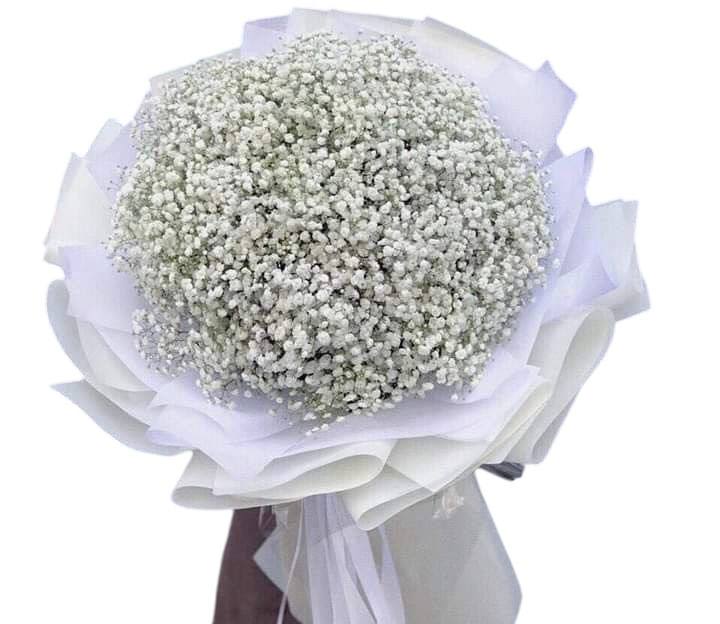 White and very fluffy cloud of gypsophila flowers. - White and very fluffy cloud of gypsophila flowers. 