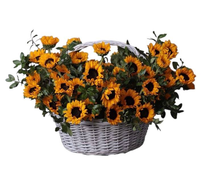 Farewell to summer. Stylish basket with sunflowers.  - Farewell to summer. Stylish basket with sunflowers.   