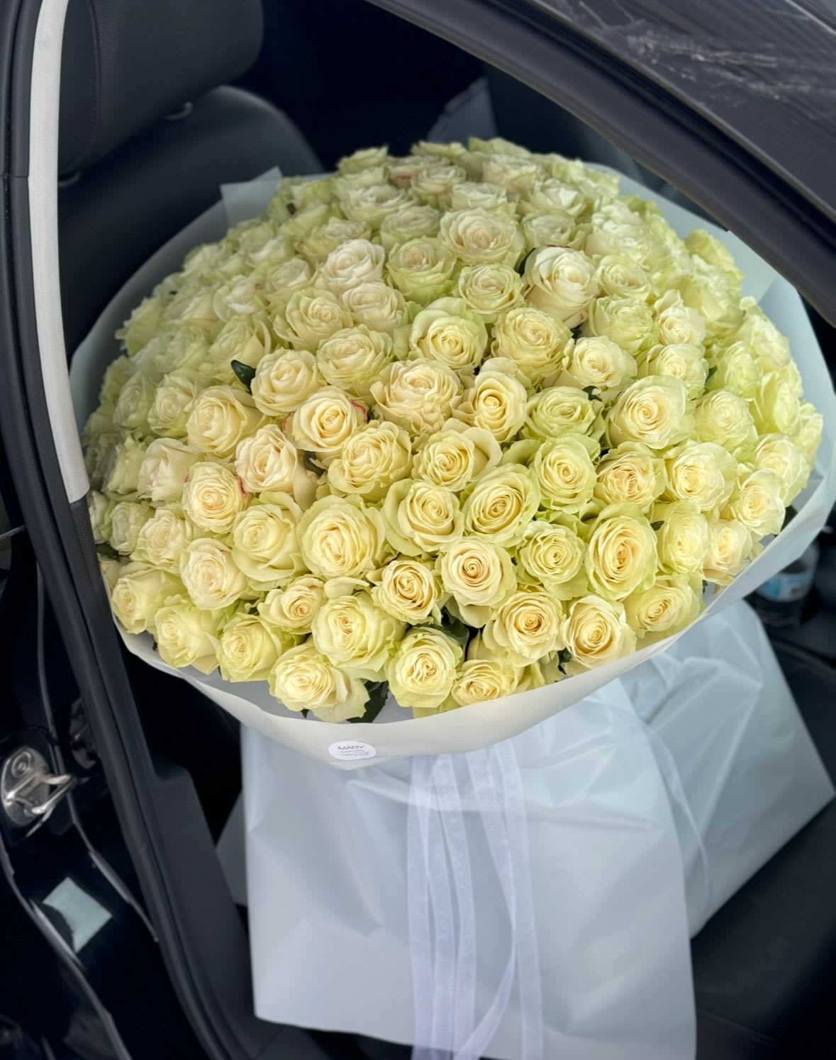 huge bouquet of 125 white roses for a marriage proposal - huge bouquet of 125 white roses for a marriage proposal
