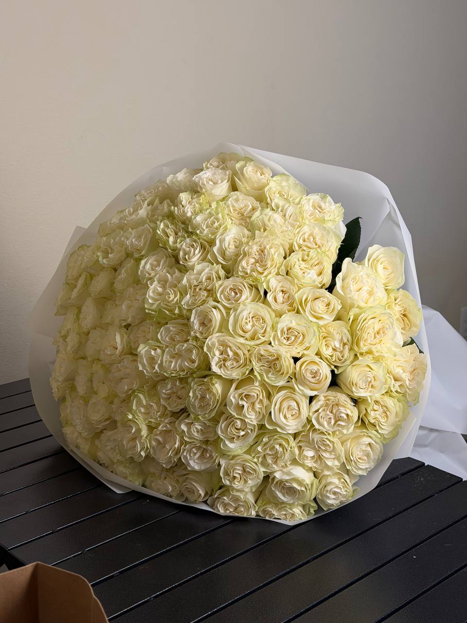 White Mondial Rose — A Touch of Timeless Luxury -  