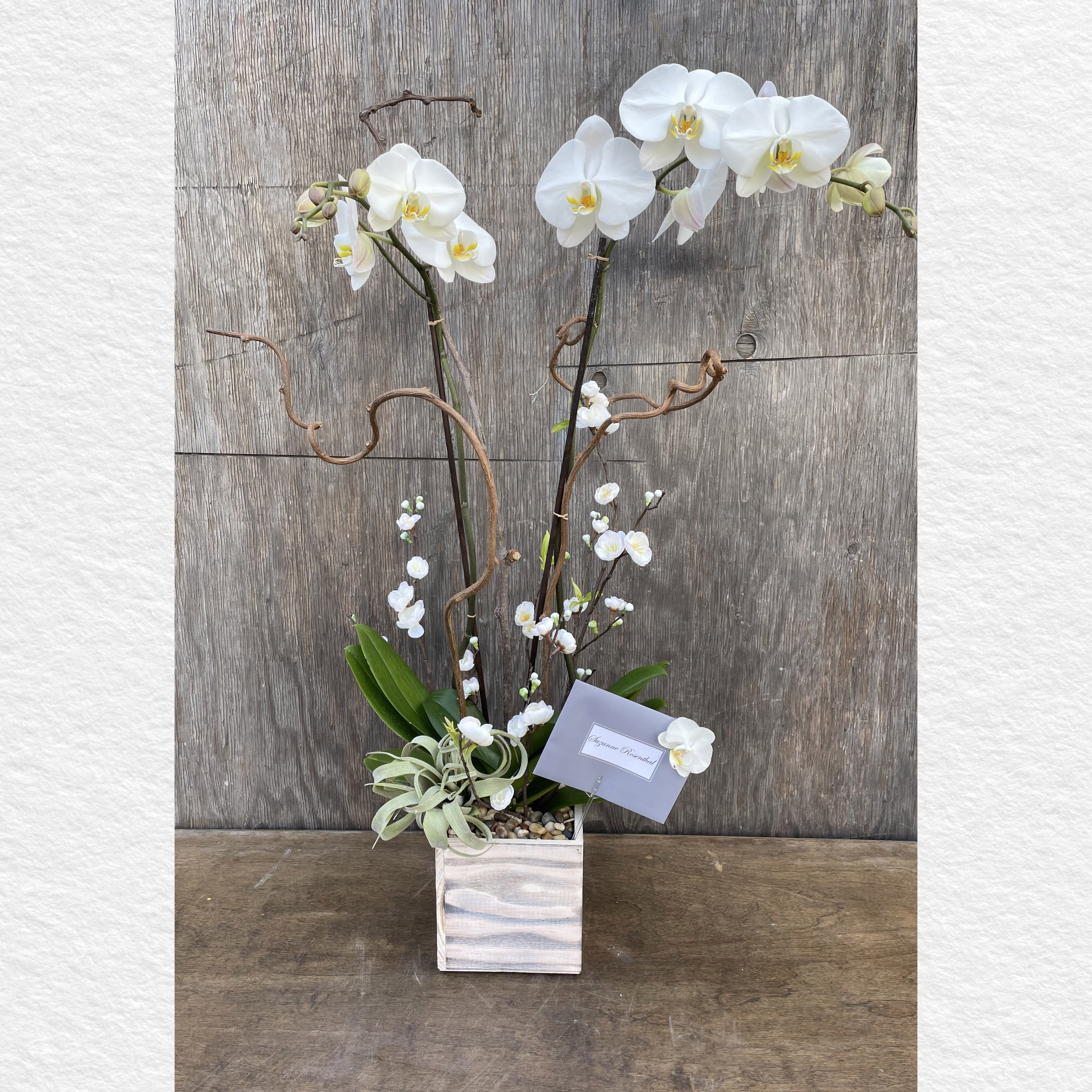 White orchid arrangement in a square vase with curly branches