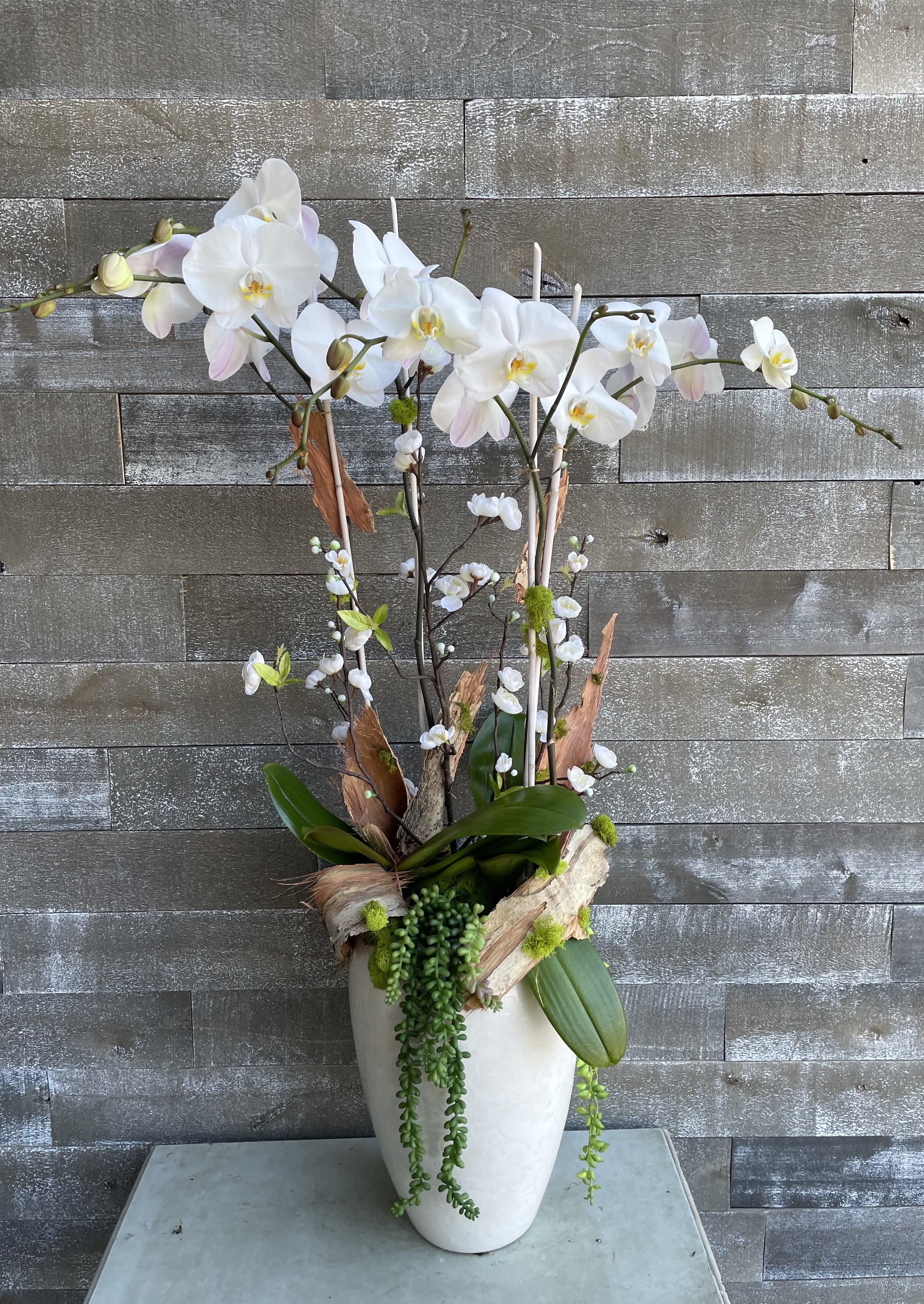 White orchid arrangement in a tall white vase