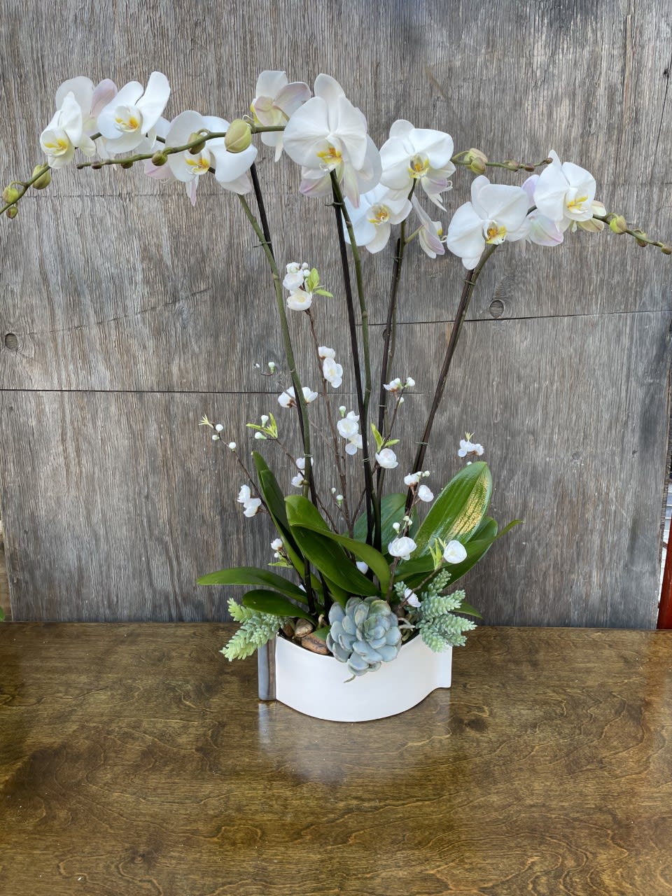 White orchid arrangement in a white container with succulents