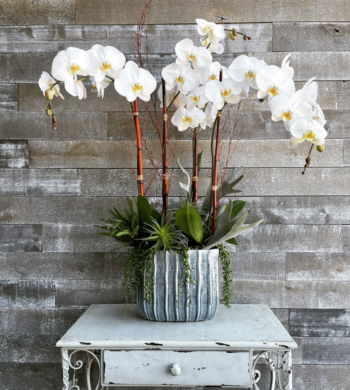 White orchid arrangement in a striped ceramic pot