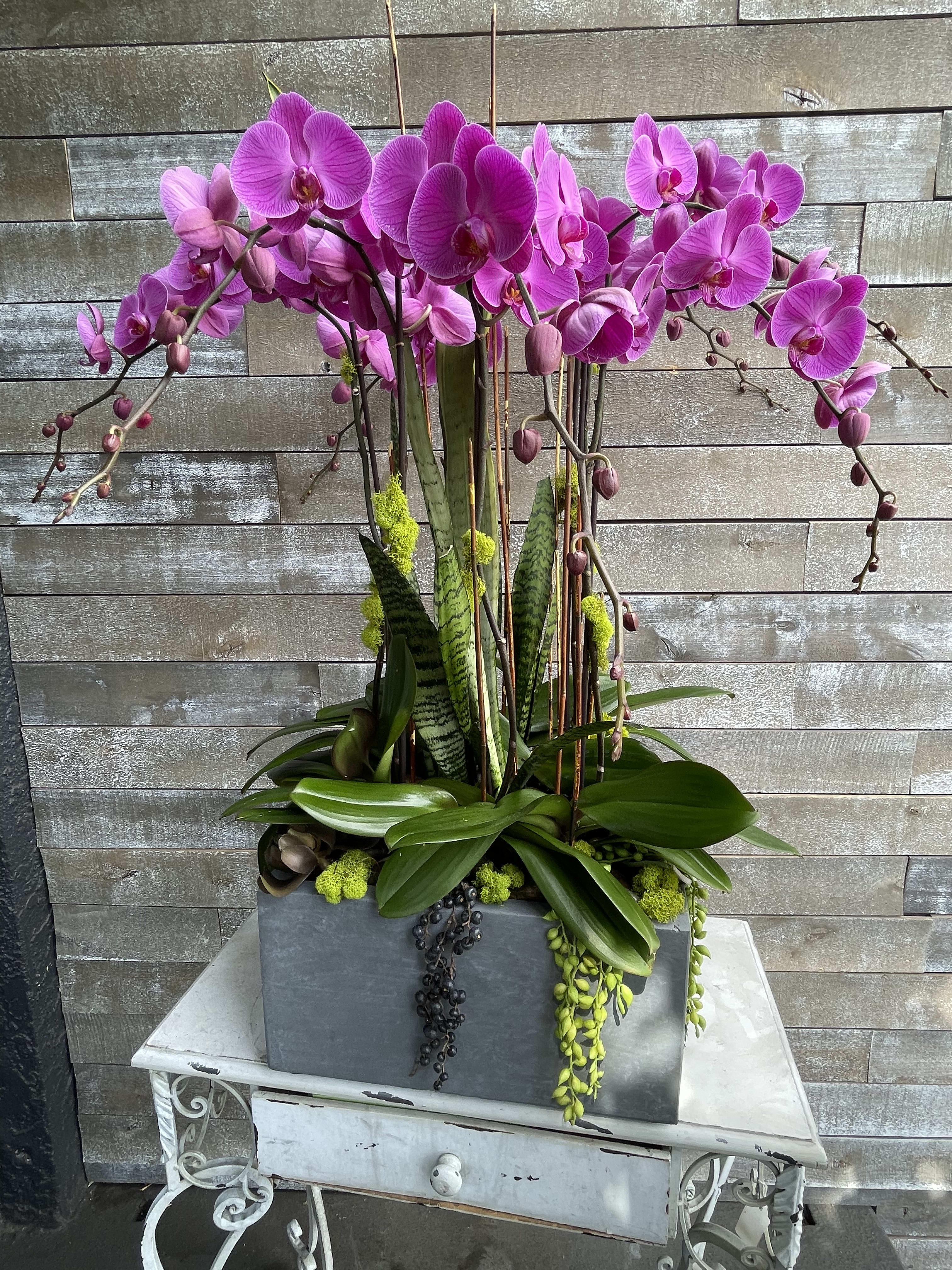 Tall arrangement of pink orchids in a gray rectangular planter