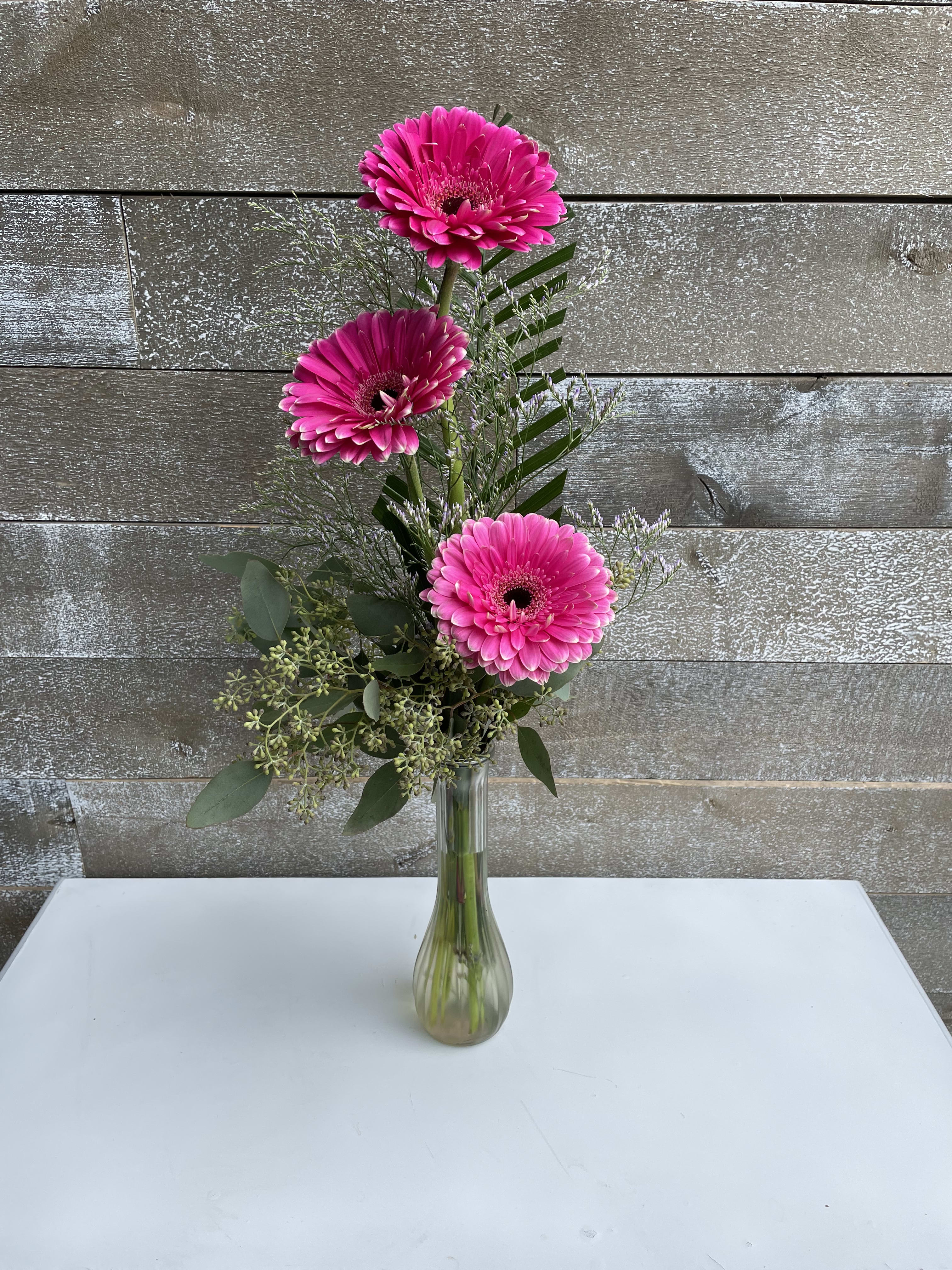 Three pink gerbera daisies in a clear glass vase