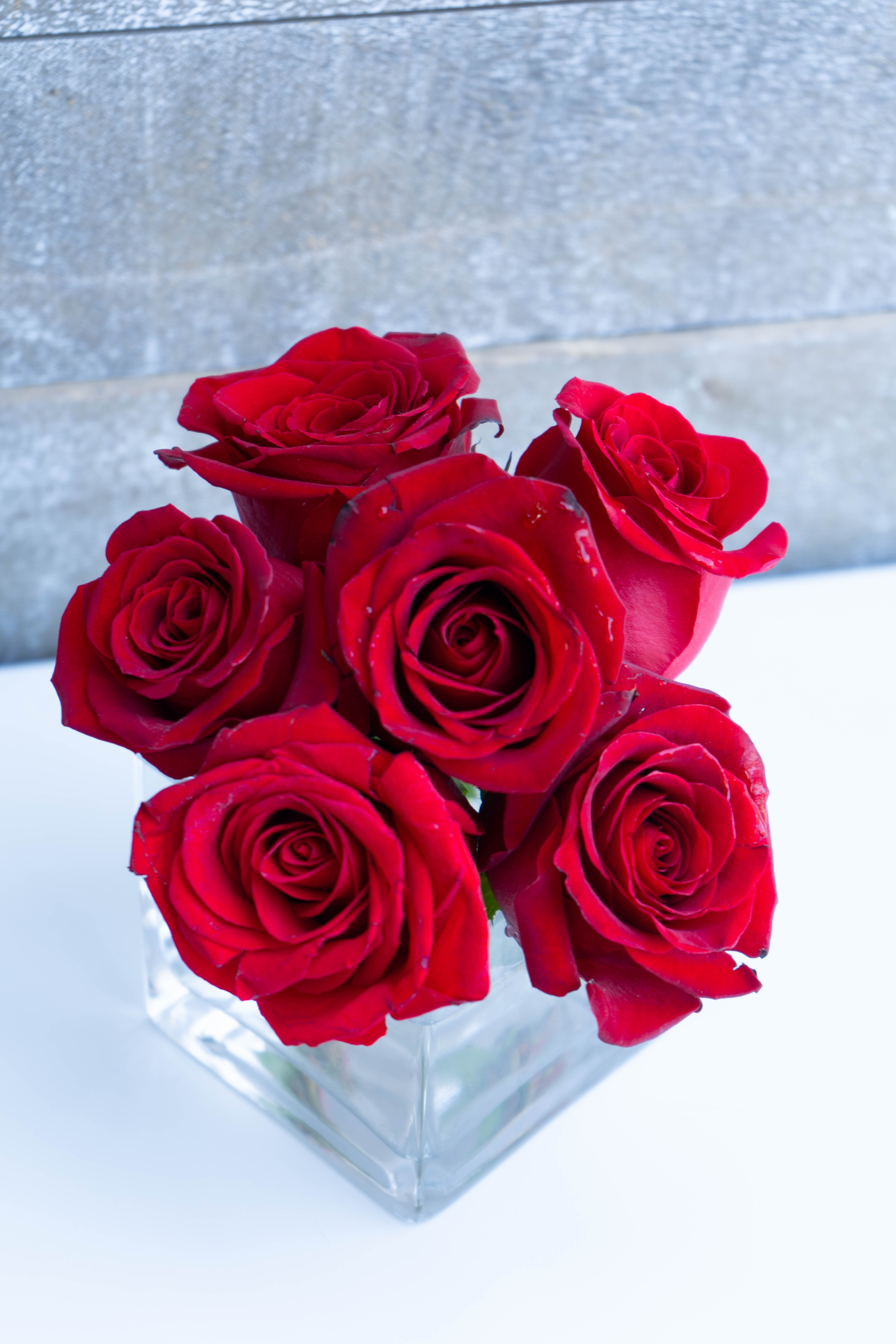 Five red roses arranged in a clear square vase