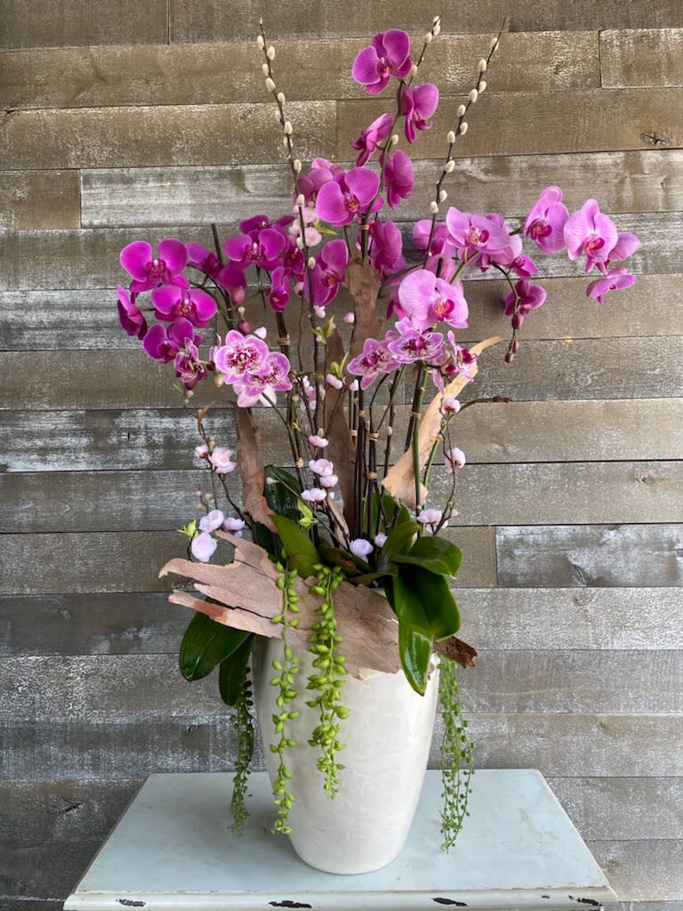 Pink orchid arrangement in a white vase with trailing greenery
