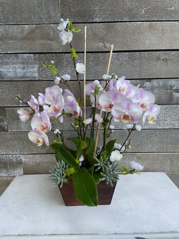 Pink and white orchids arranged in a rectangular wooden planter.
