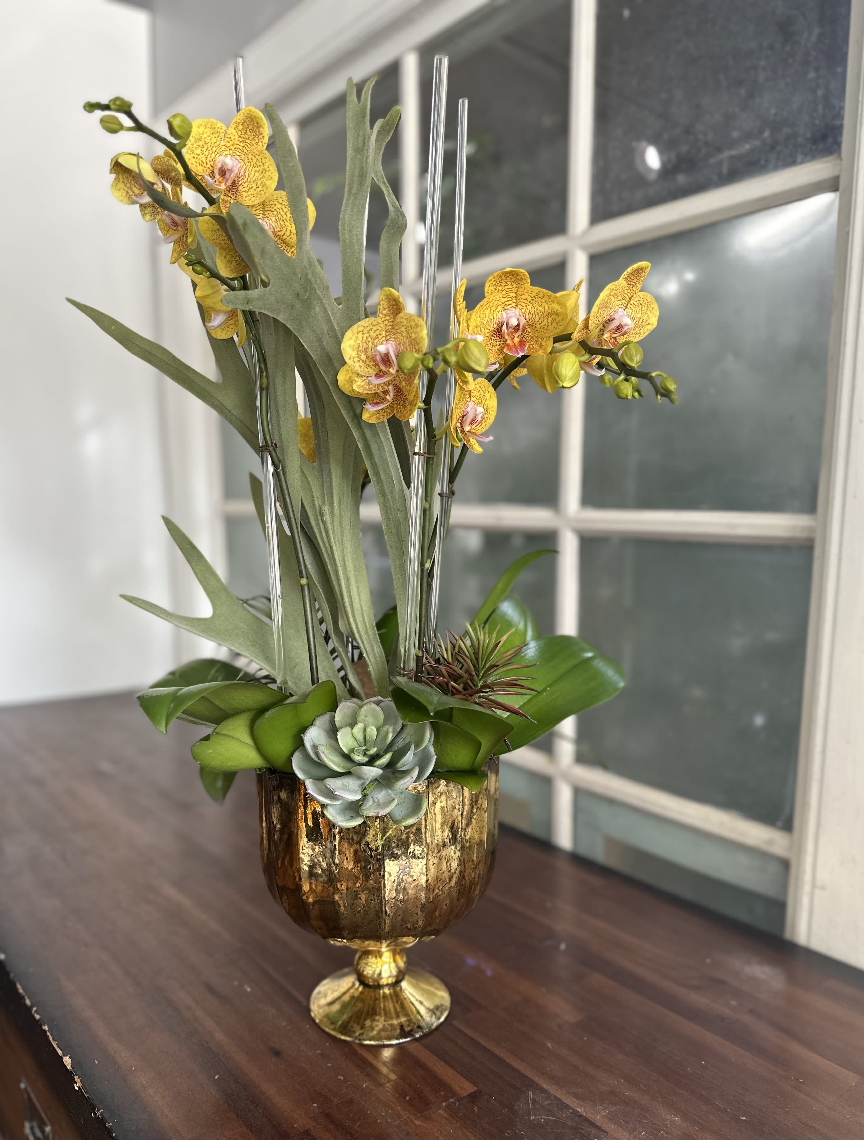 Yellow orchids arranged in a gold pedestal vase with succulents