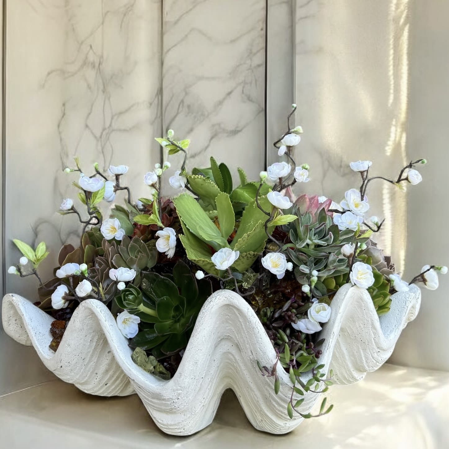 Succulent arrangement in a white wavy planter with small white blossoms